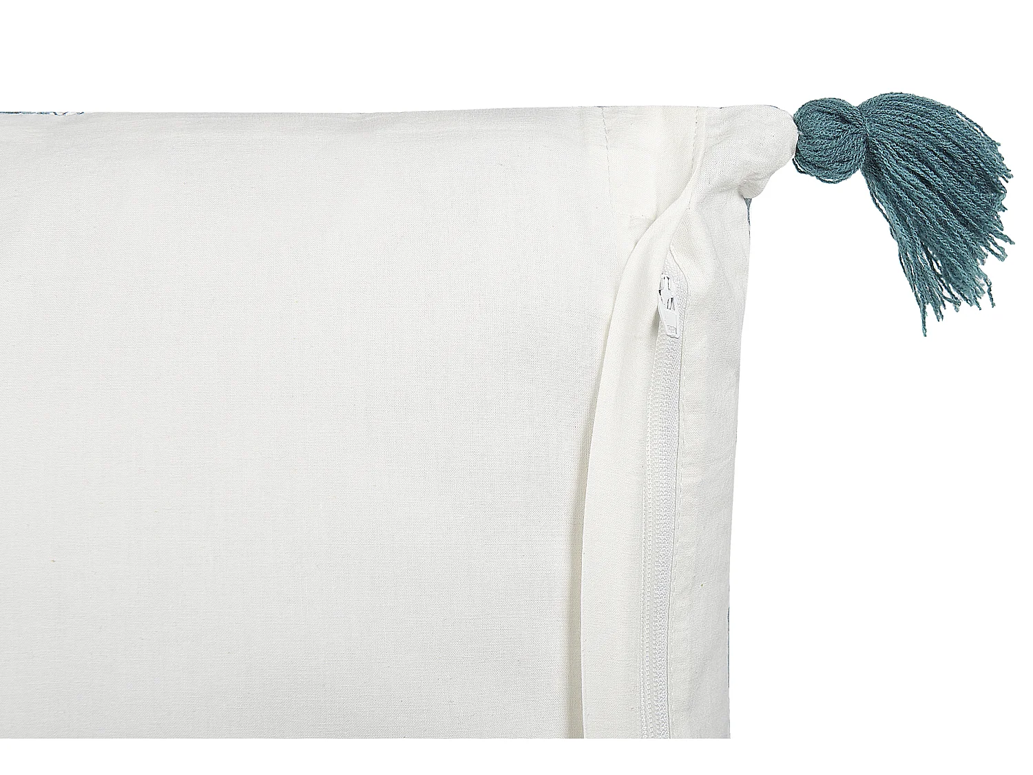 Lot de 2 coussins décoratifs CORNUS Coton 45 x 45 cm Bleu Motif floral