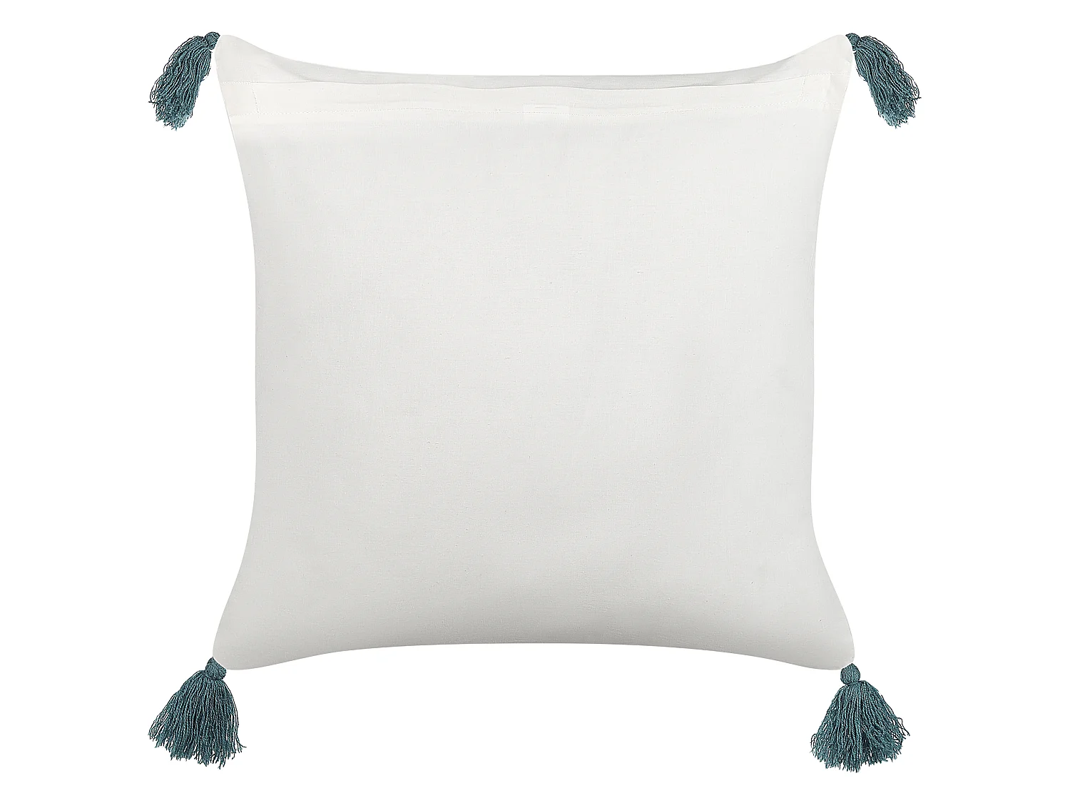 Lot de 2 coussins décoratifs CORNUS Coton 45 x 45 cm Bleu Motif floral
