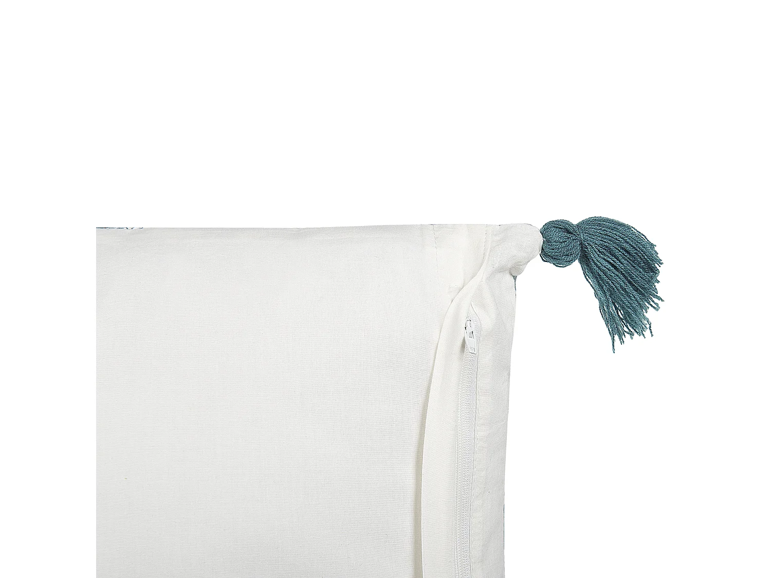 Lot de 2 coussins décoratifs CORNUS Coton 45 x 45 cm Bleu Motif floral