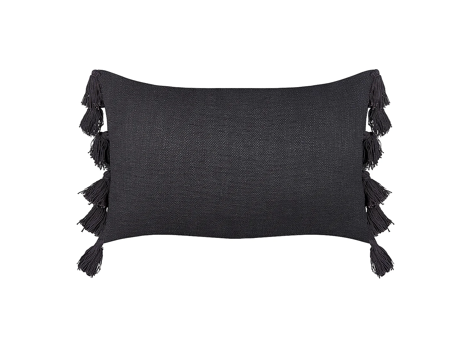 Dekokissen mit Füllung Quasten Baumwolle grau 35 x 55 cm Boho Lythrum