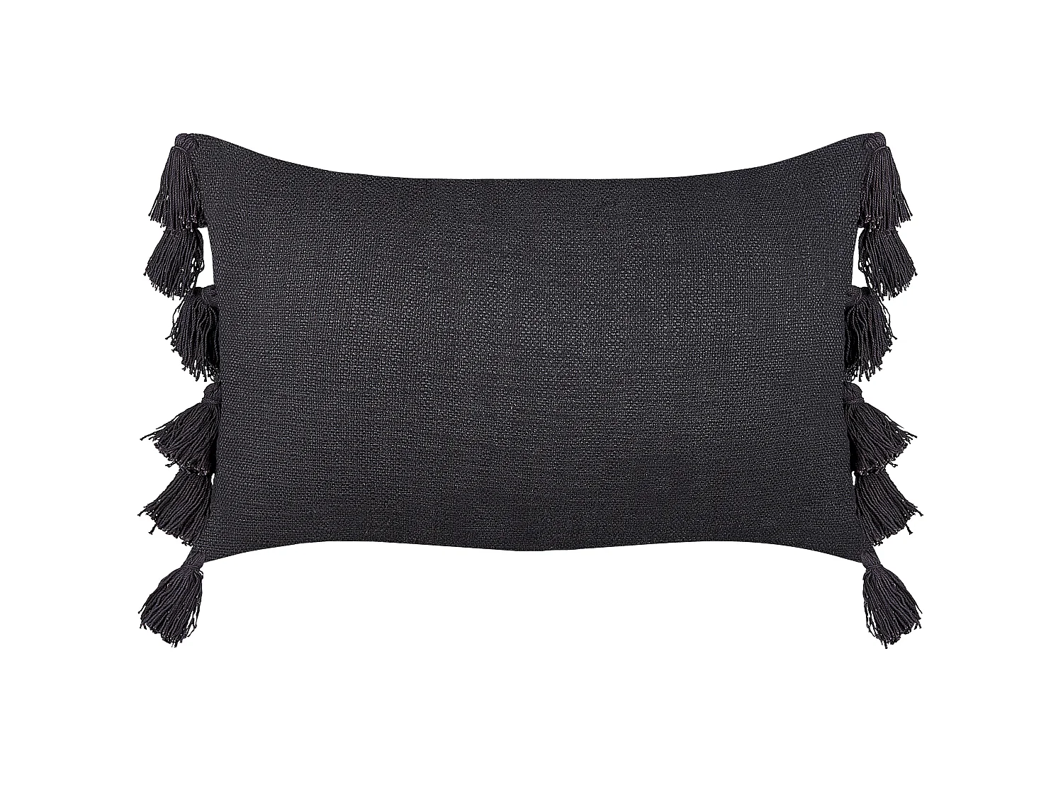 Coussin LYTHRUM Coton 55 x 35 cm Gris foncé Unicolore