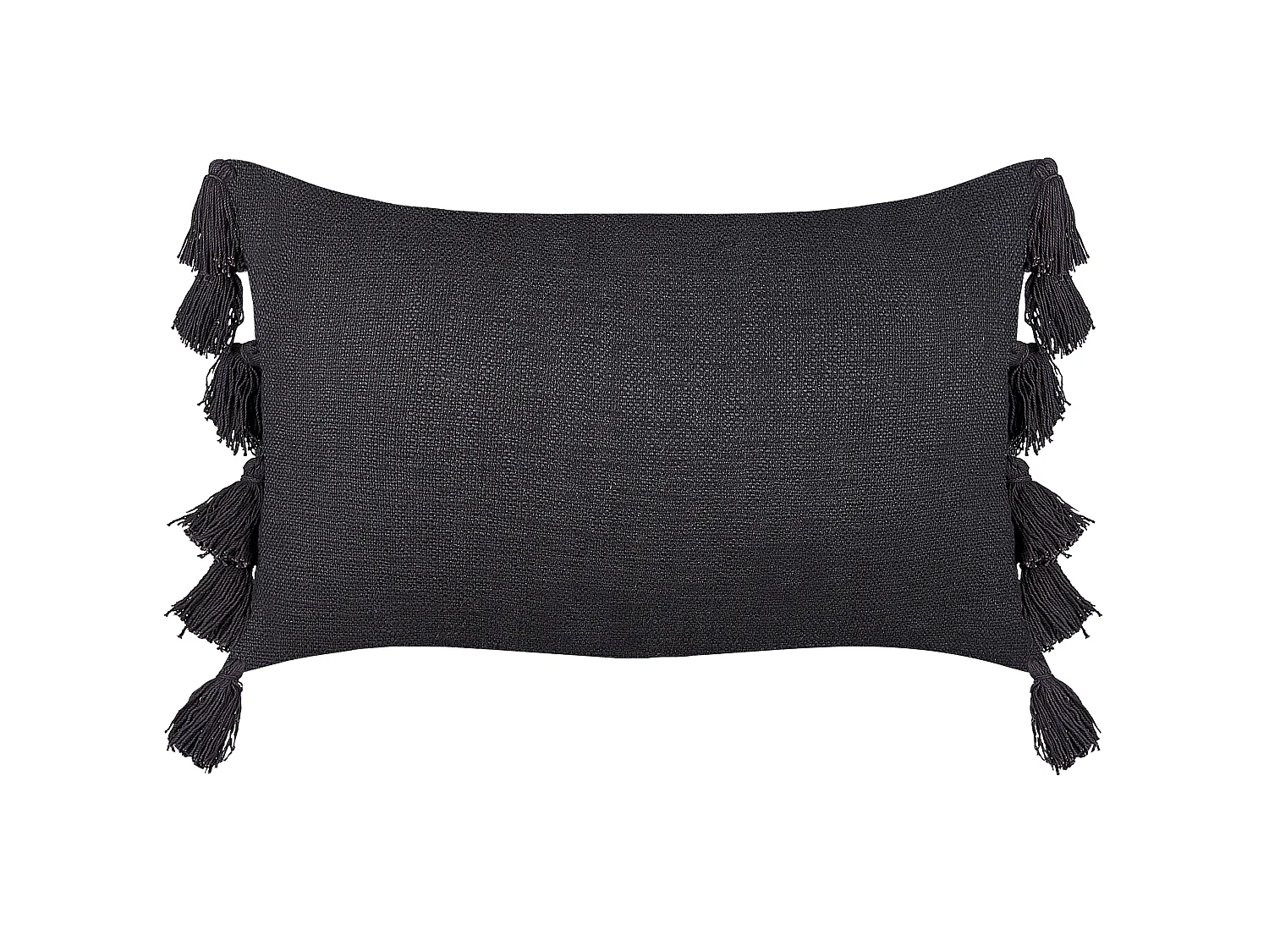 Sierkussen LYTHRUM Katoen 55 x 35 cm Zwart Effen