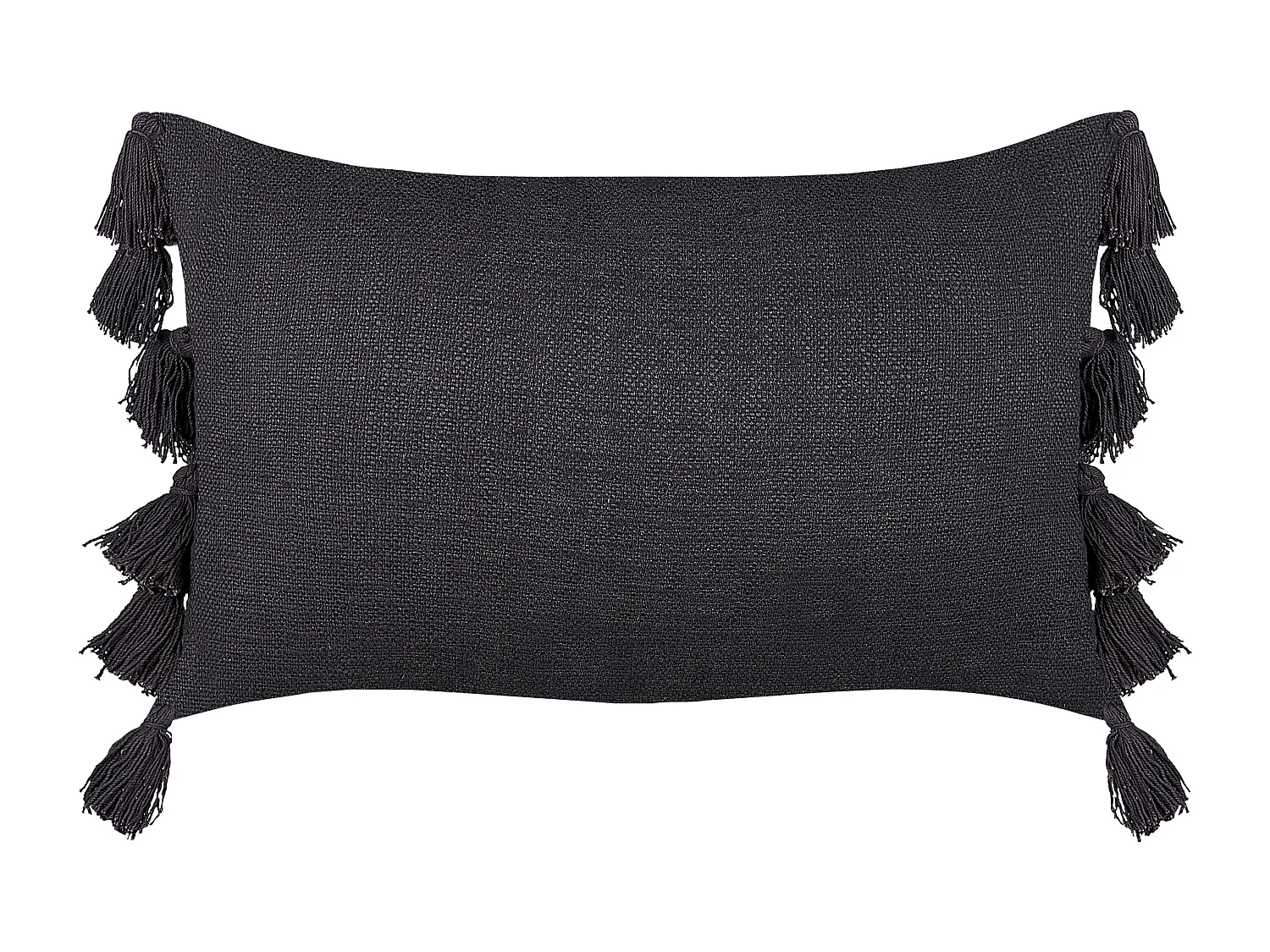 Dekokissen mit Füllung Quasten Baumwolle grau 35 x 55 cm Boho Lythrum