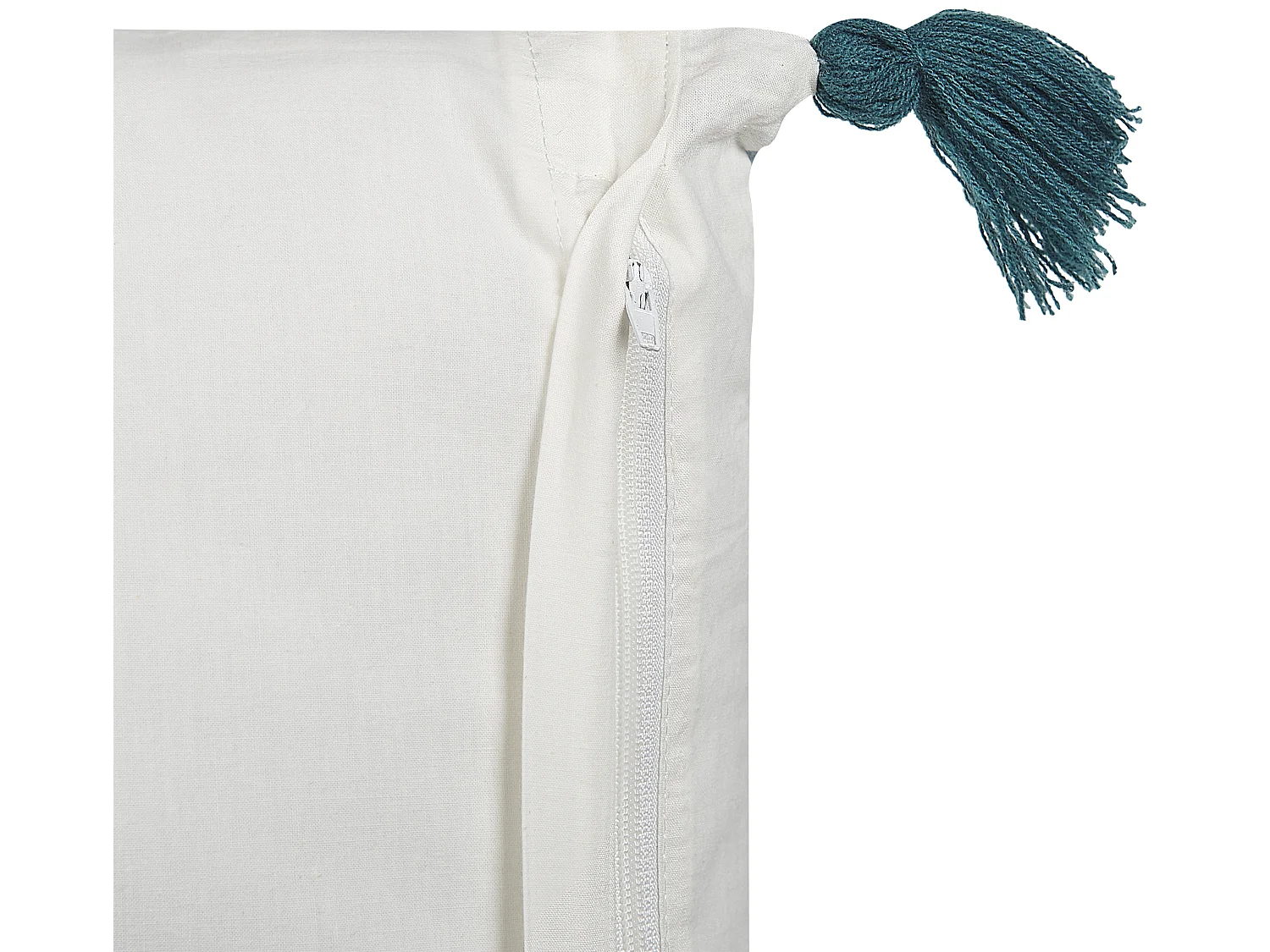 Coussin RUMEX Coton 45 x 45 cm Bleu Motif floral