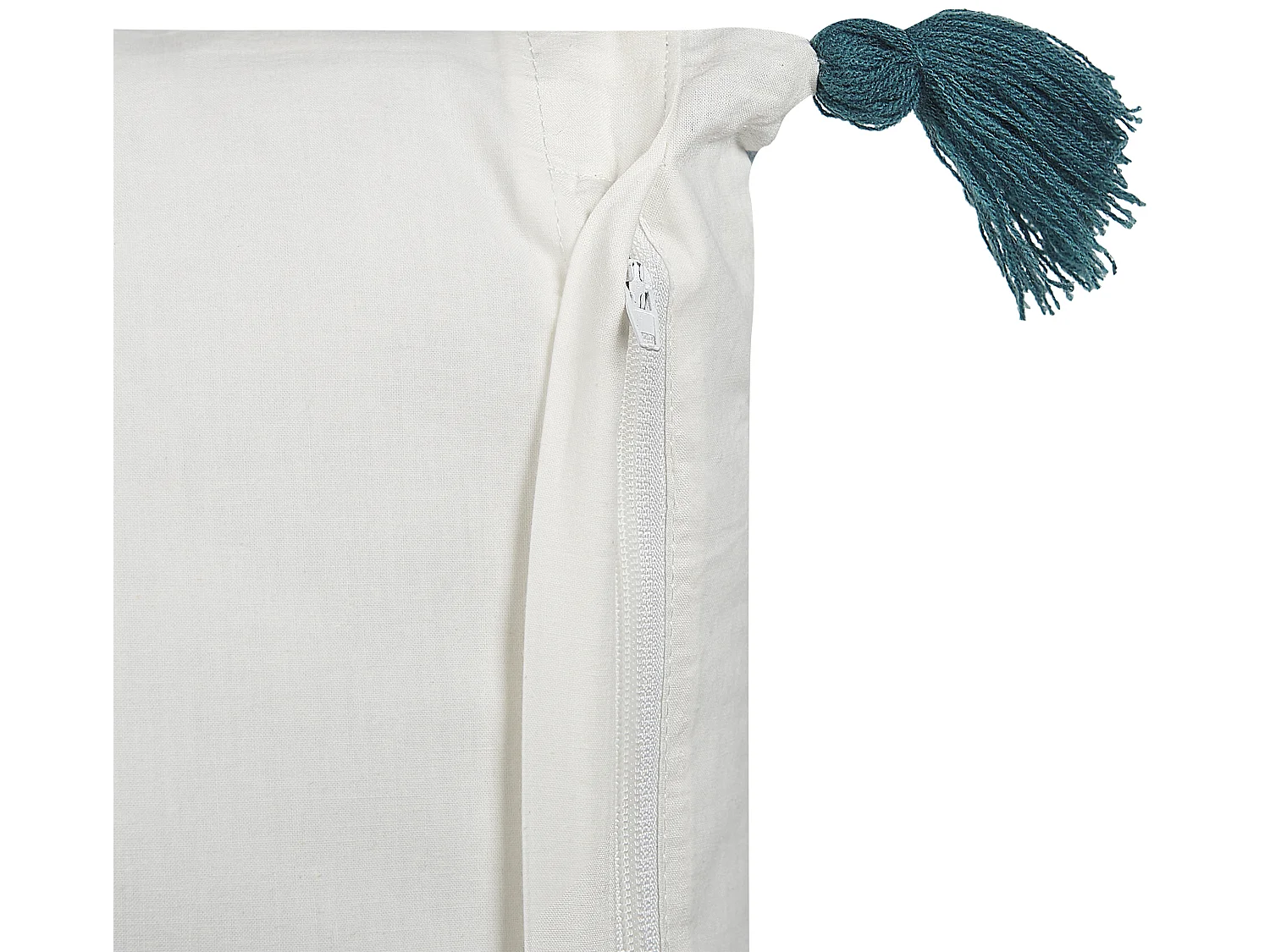 Coussin RUMEX Coton 45 x 45 cm Bleu Motif floral