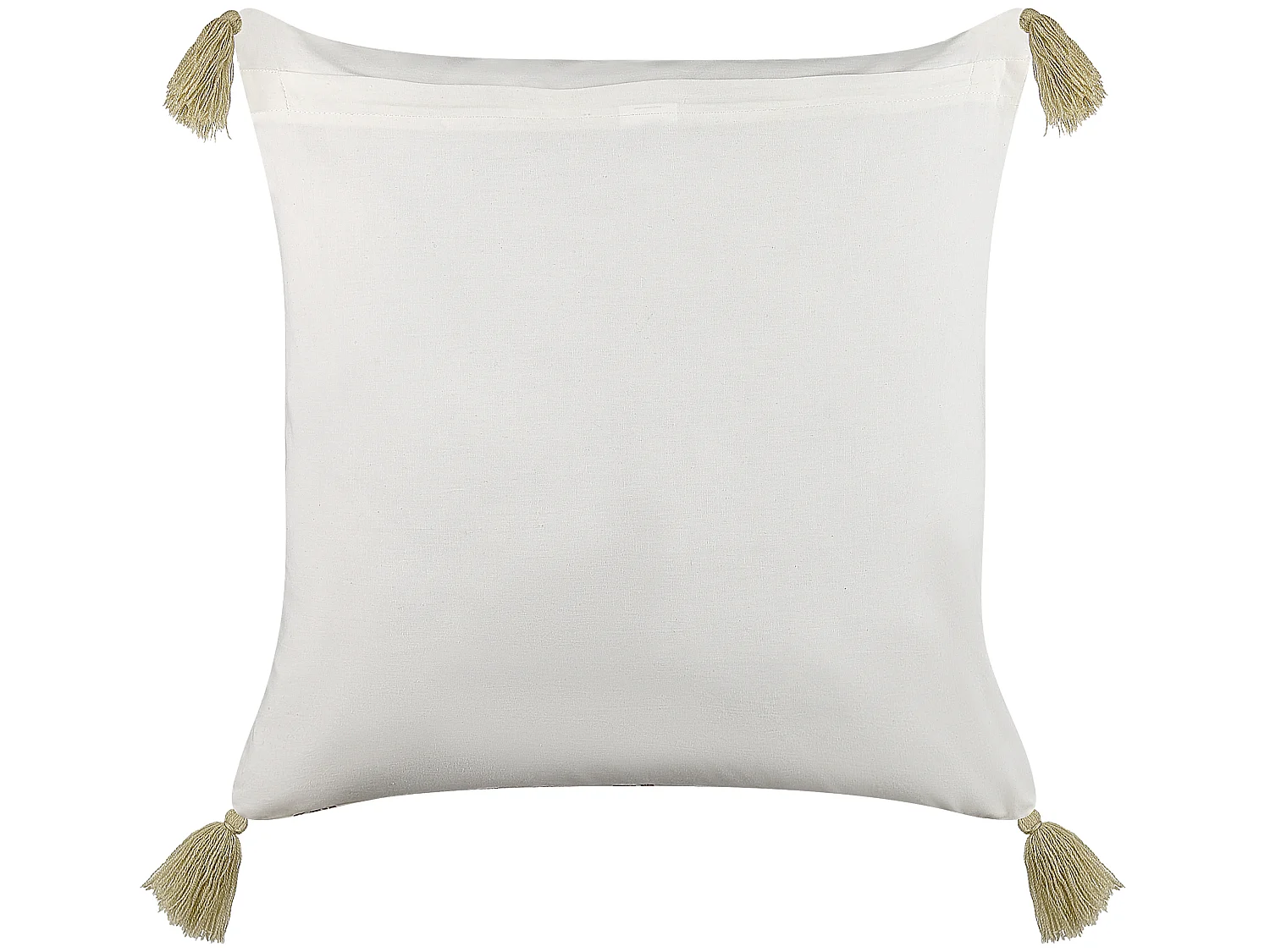 Coussin CARISSA Coton 45 x 45 cm Multicolore Motif floral