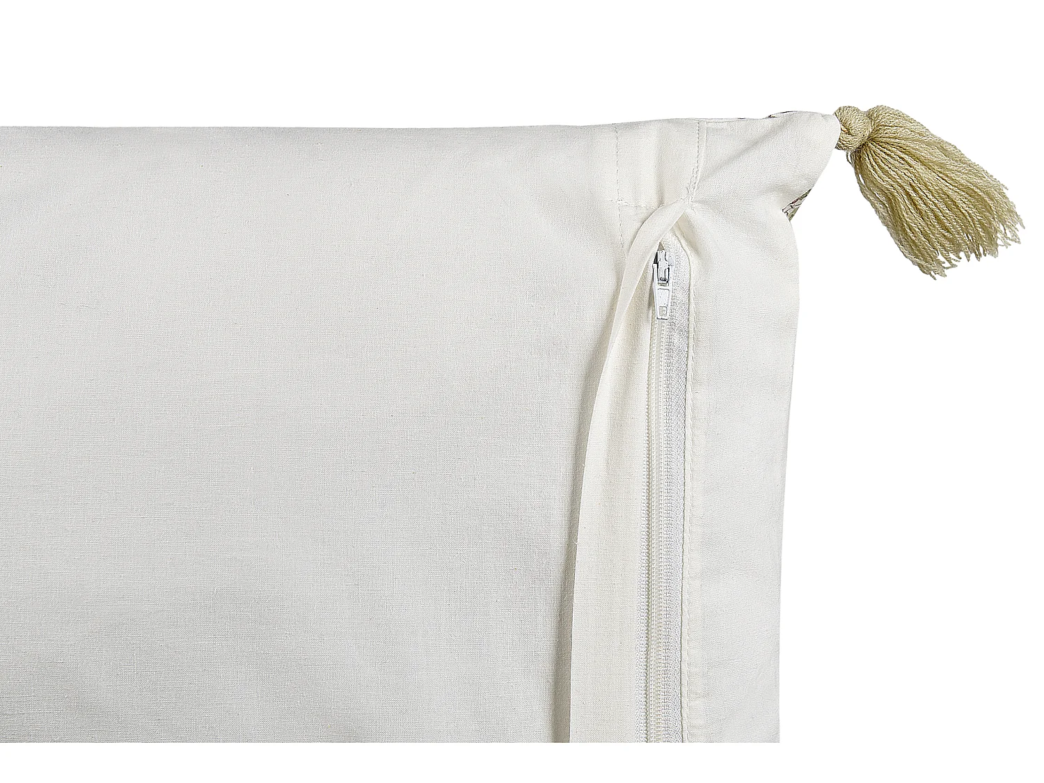 Coussin CARISSA Coton 45 x 45 cm Multicolore Motif floral