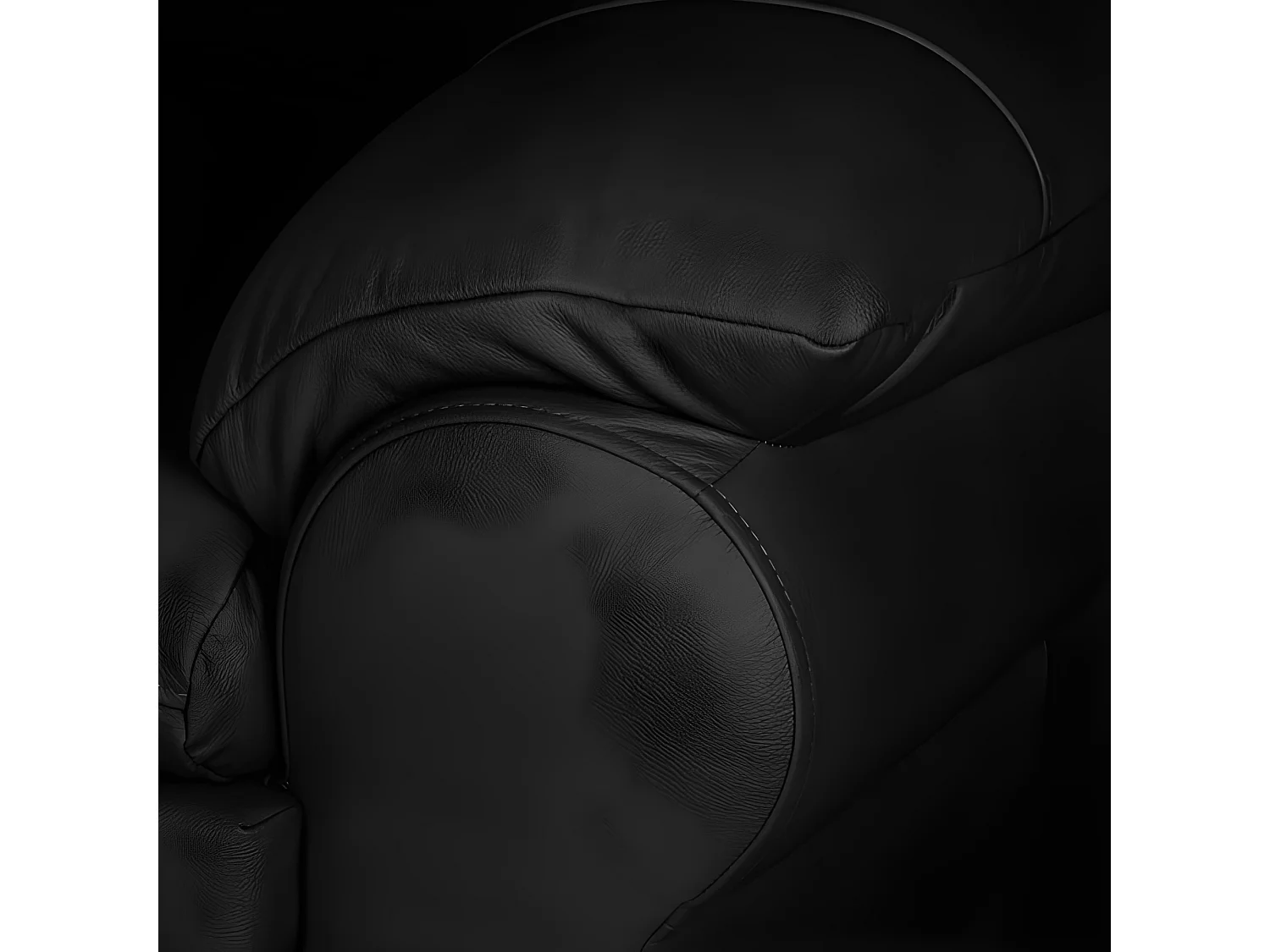 Canapé 2 places en 100% tout cuir italien vachette OSATIS, couleur noir