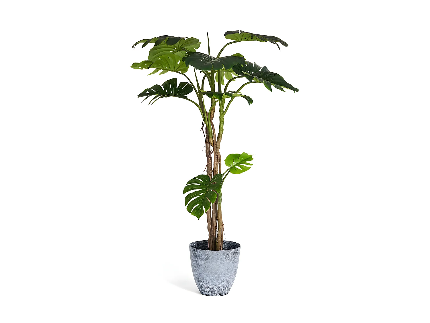 Kunstpflanze mit Topf - H. 180 cm - Monstera