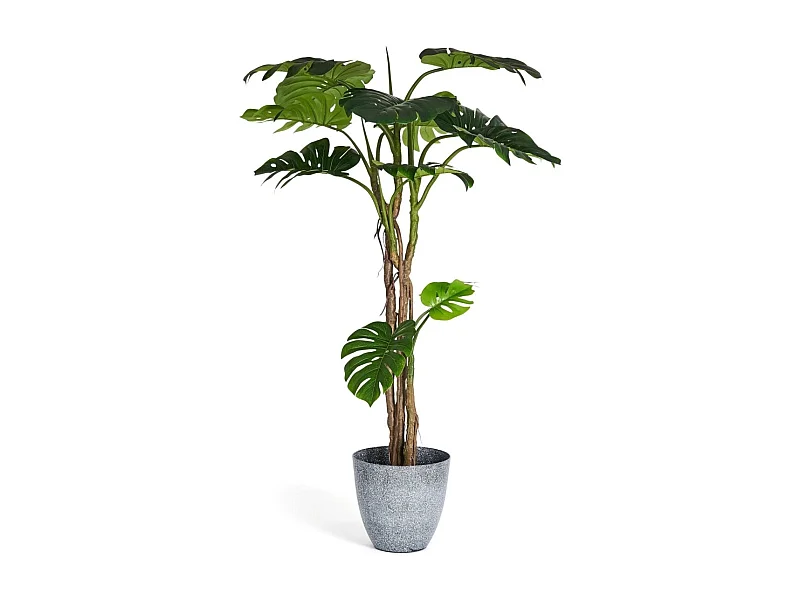 Kunstpflanze mit Topf - H. 180 cm - Monstera