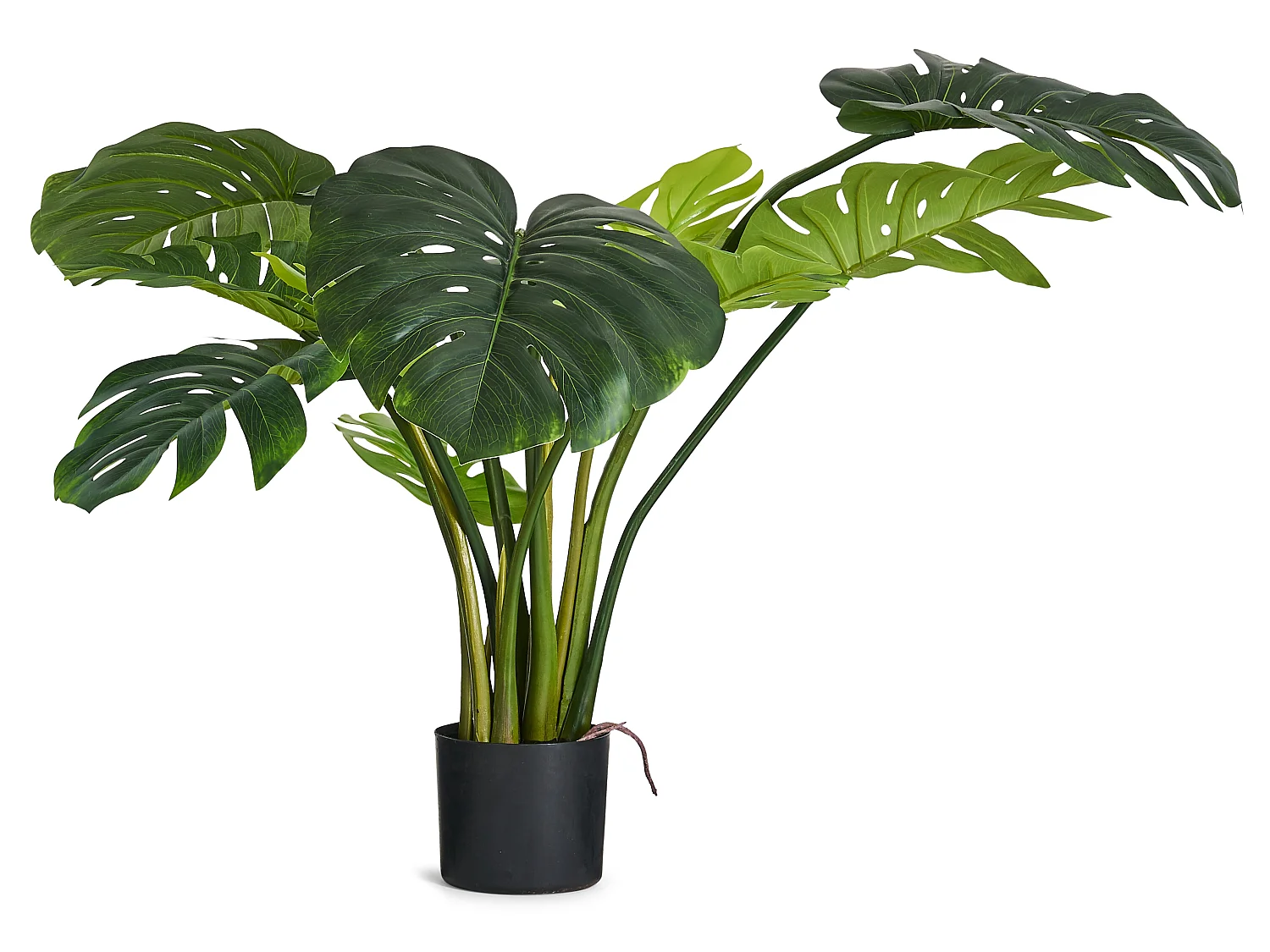 Plante artificielle Monstera