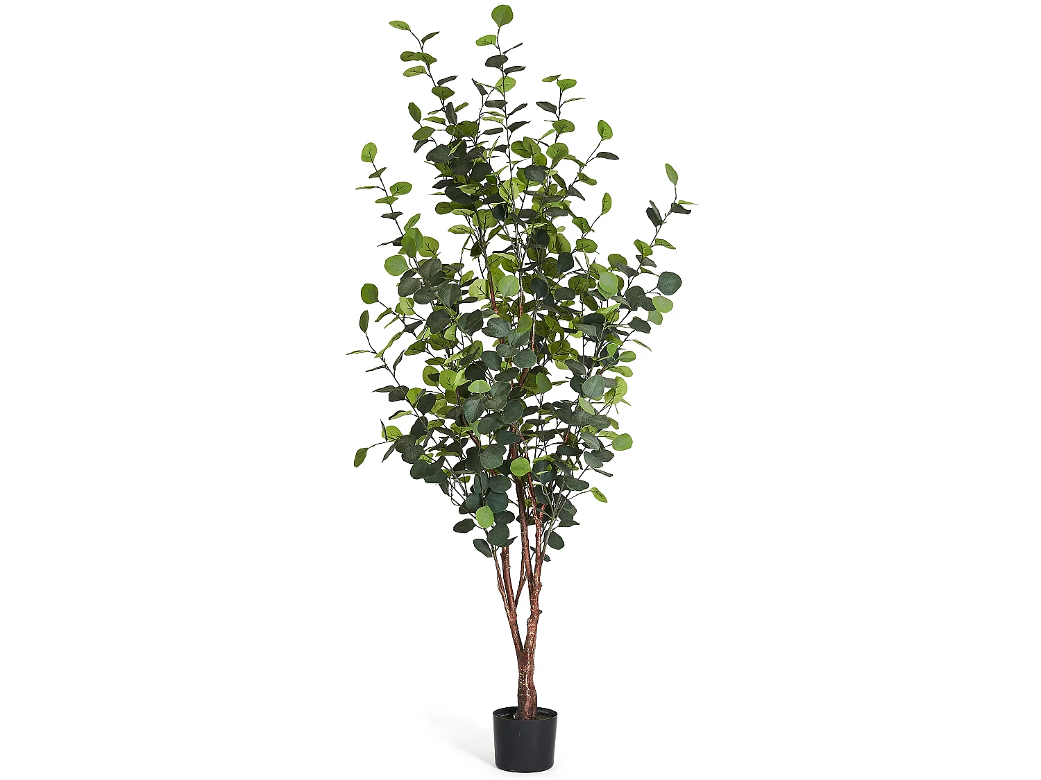 Kunstpflanze mit Topf - H. 180 cm - Eukalyptus