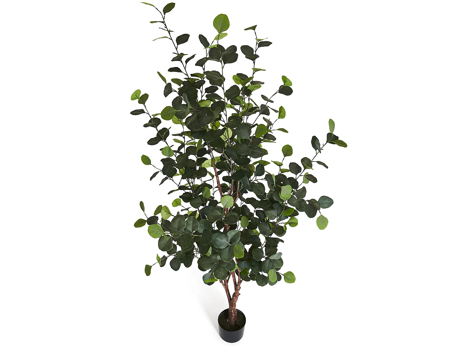 Kunstpflanze mit Topf - H. 180 cm - Eukalyptus