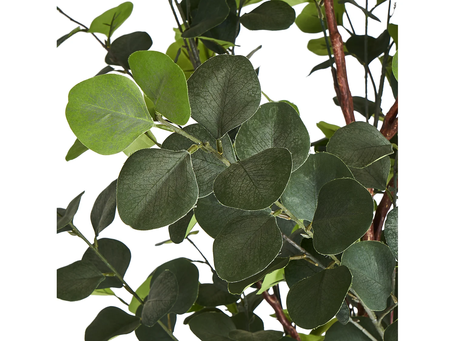 Kunstpflanze mit Topf - H. 180 cm - Eukalyptus