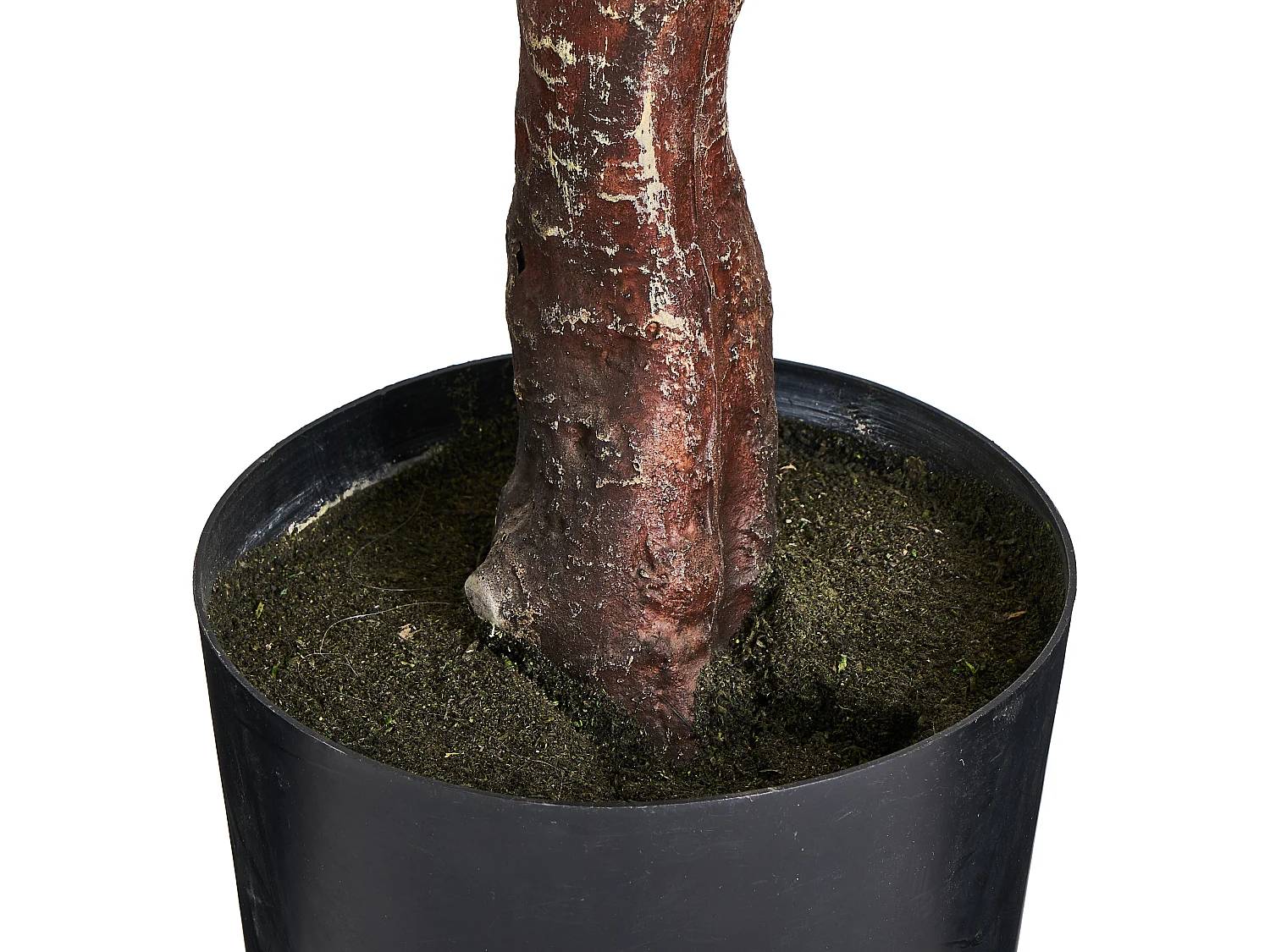 Kunstpflanze mit Topf - H. 180 cm - Eukalyptus