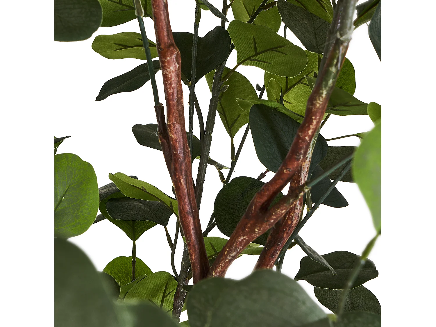 Plante artificielle Eucalyptus