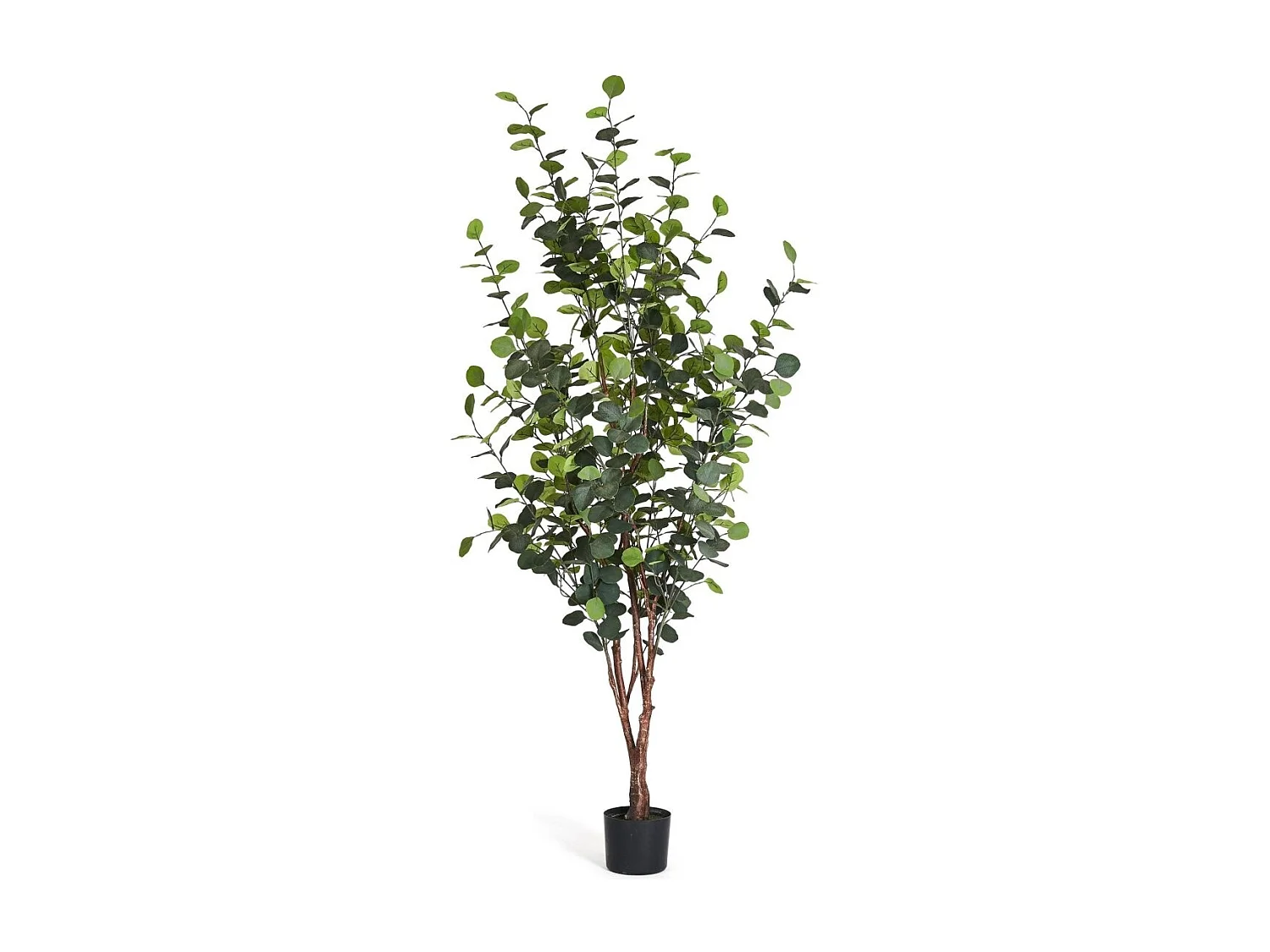 Plante artificielle Eucalyptus