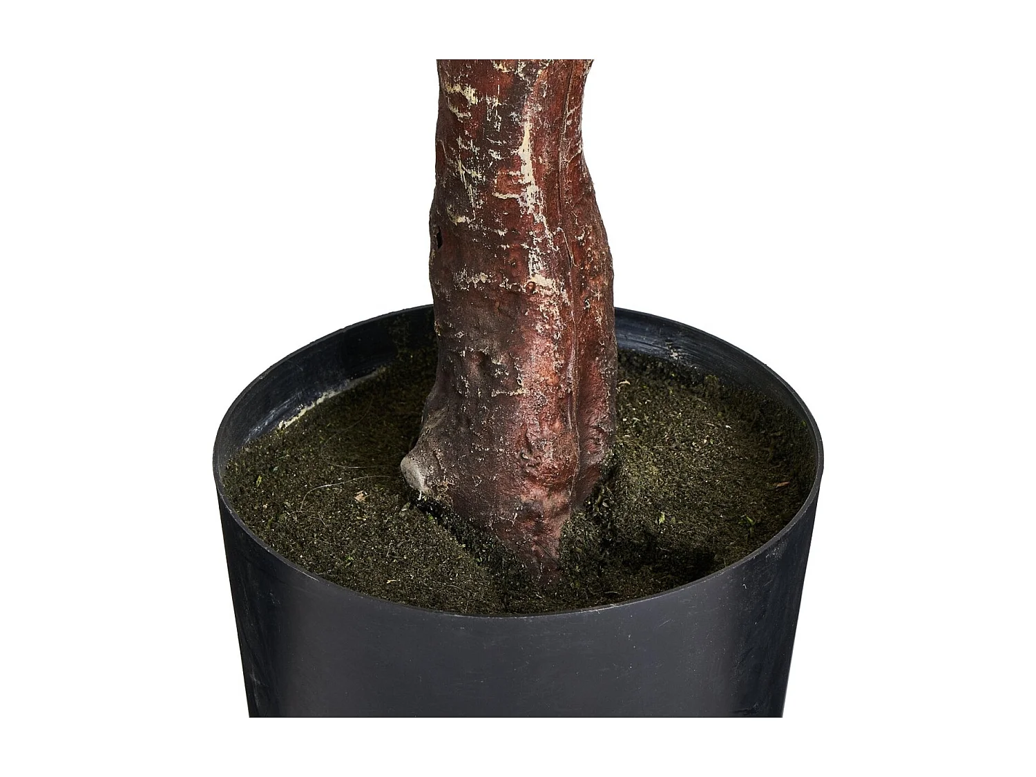 Plante artificielle Eucalyptus