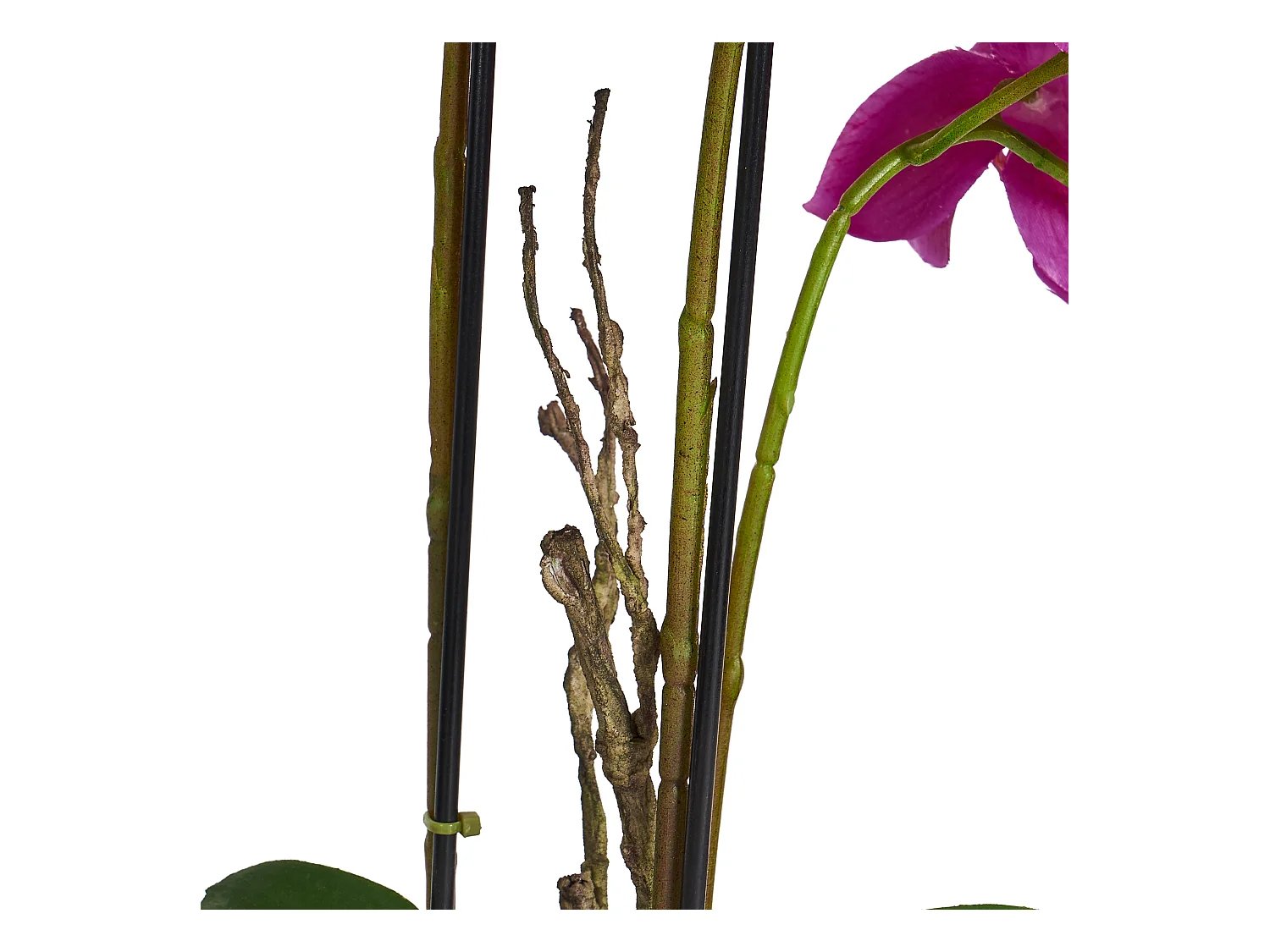 Kunstpflanze mit Topf - H. 42 cm - Orchidee