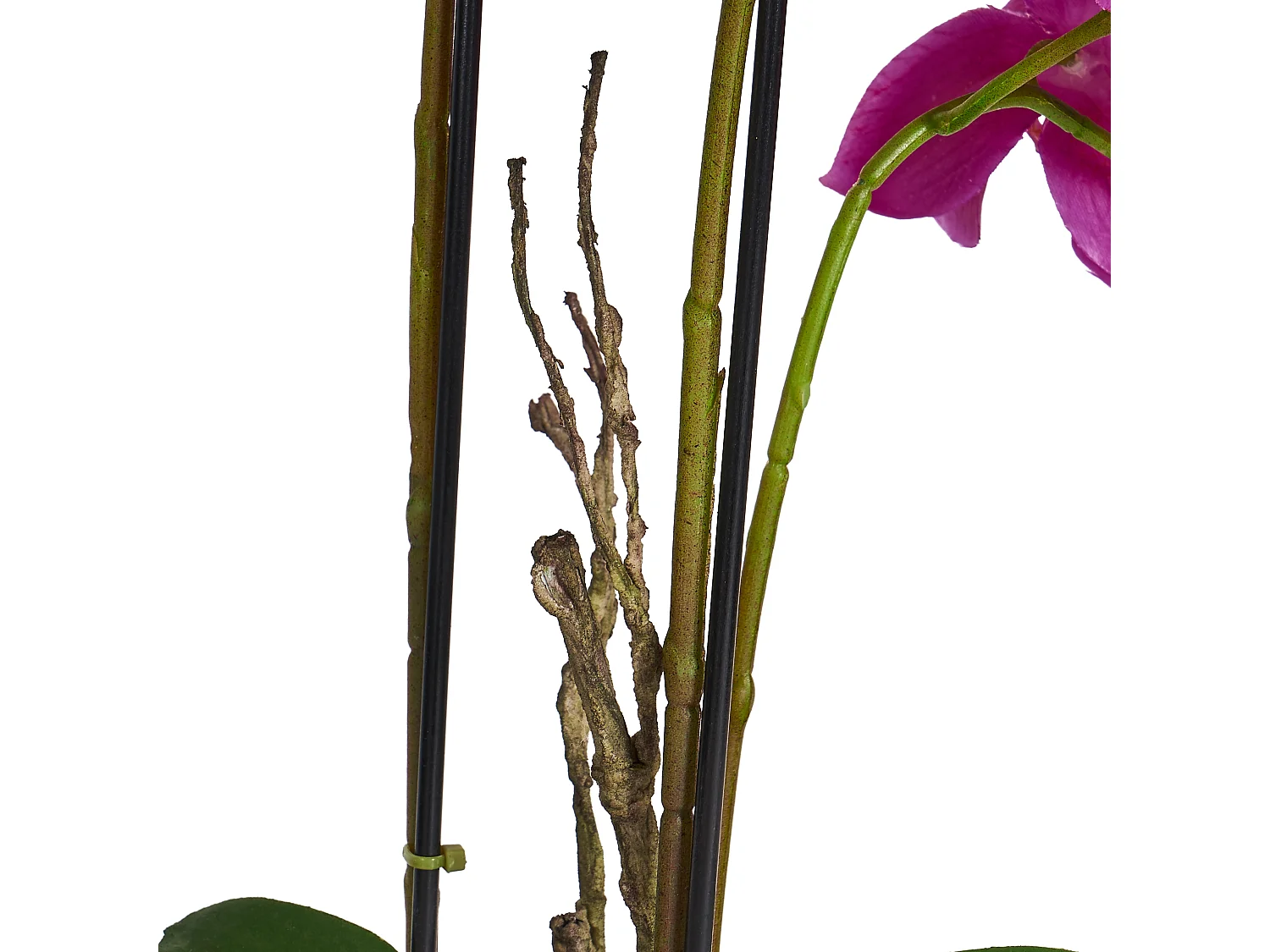 Kunstpflanze mit Topf - H. 42 cm - Orchidee