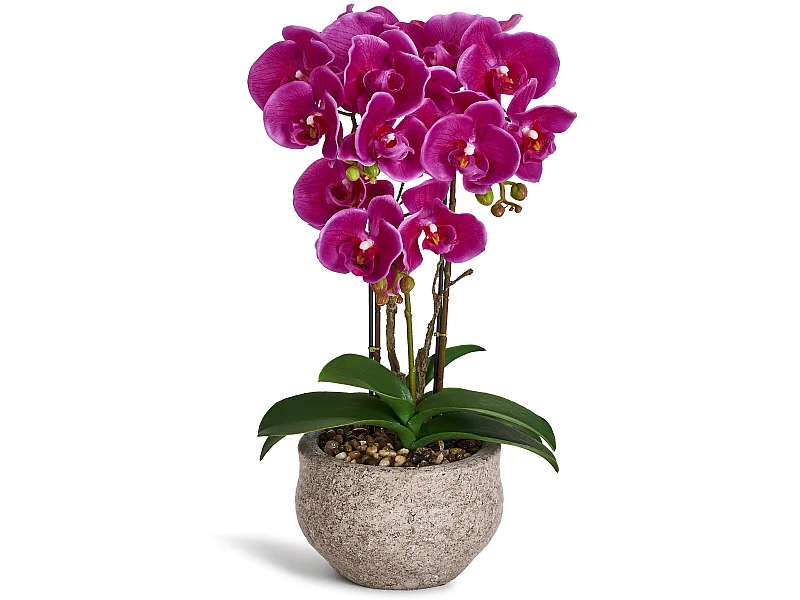 Kunstpflanze mit Topf - H. 42 cm - Orchidee