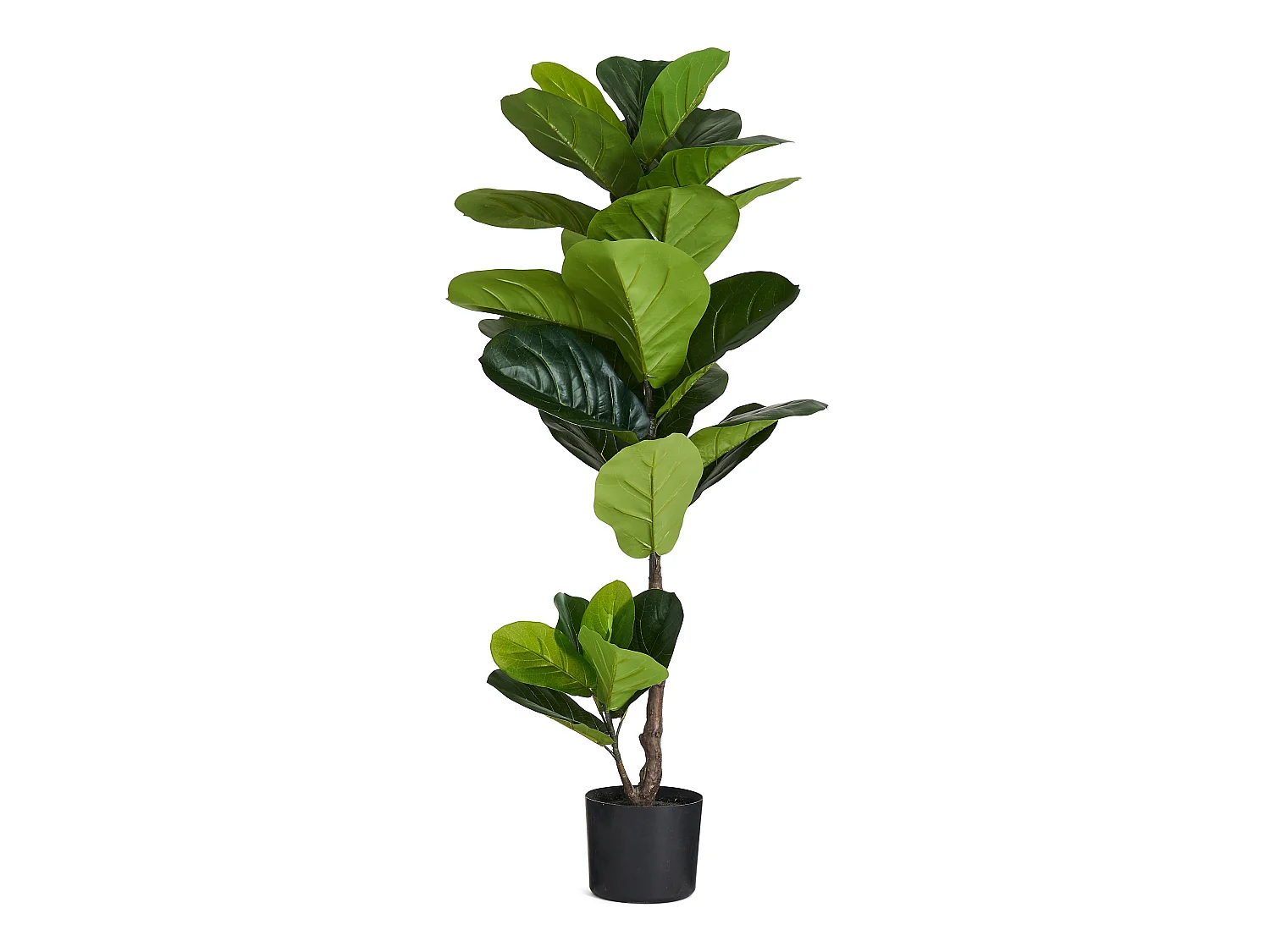 Plante artificielle Ficus Lyrata