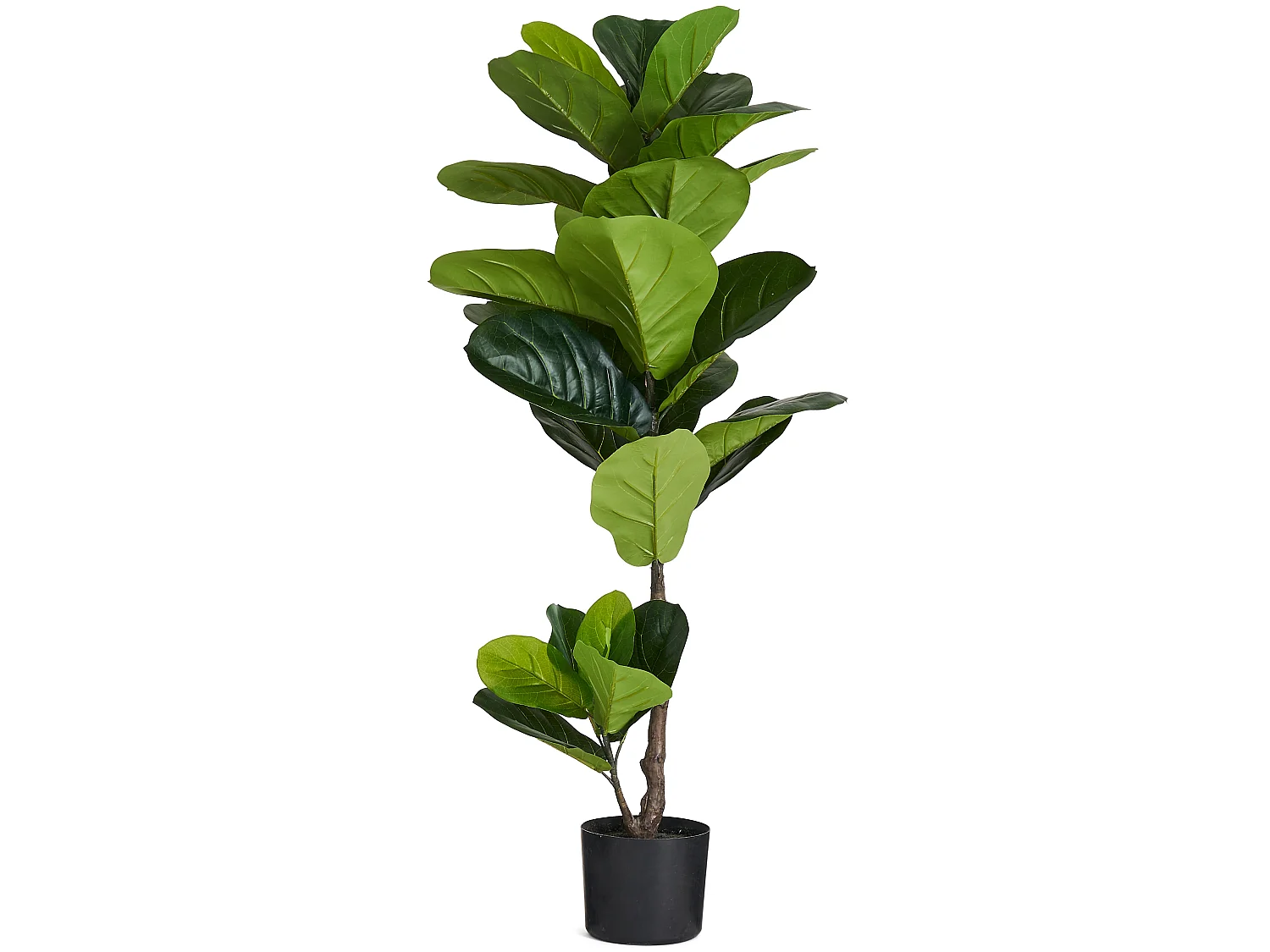 Kunstplant met pot - Vioolblad - H. 90 cm