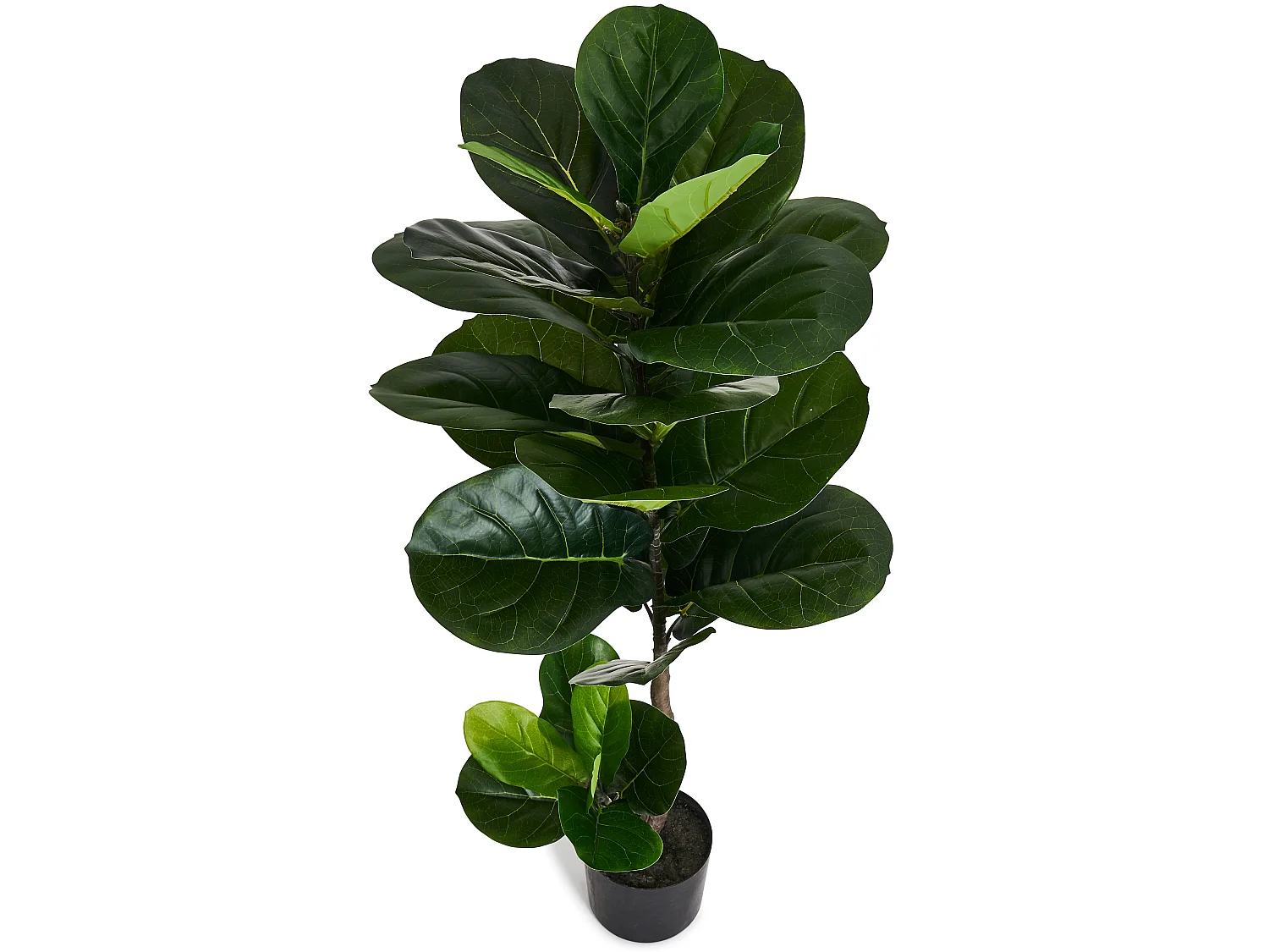 Kunstplant met pot - Vioolblad - H. 90 cm