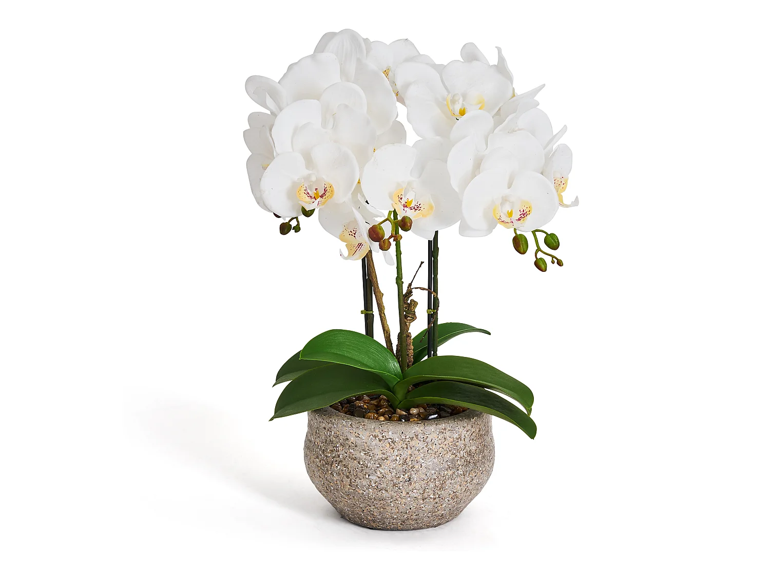 Kunstpflanze mit Topf - H. 42 cm - Orchidee