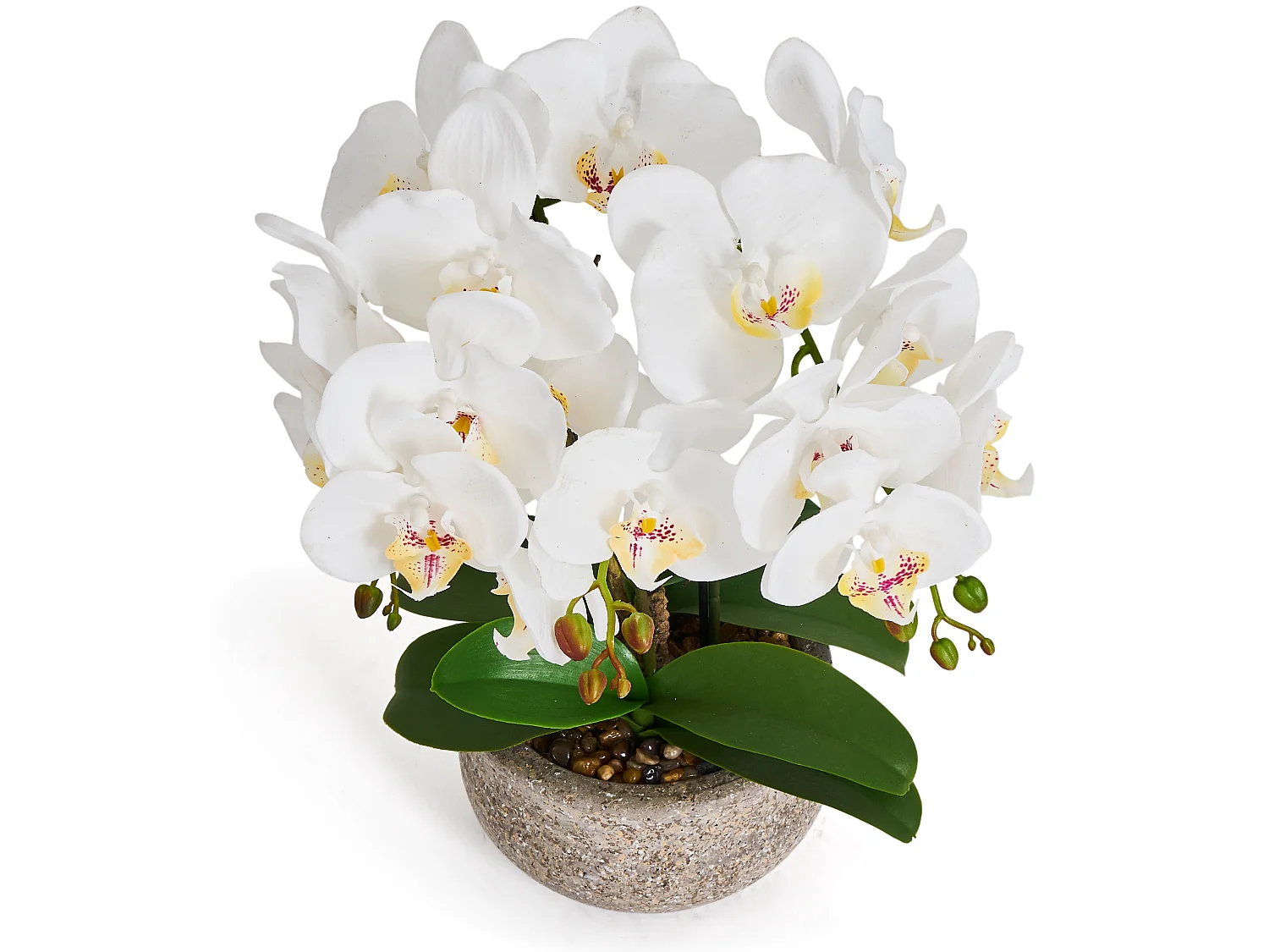 Plante artificielle Orchidée