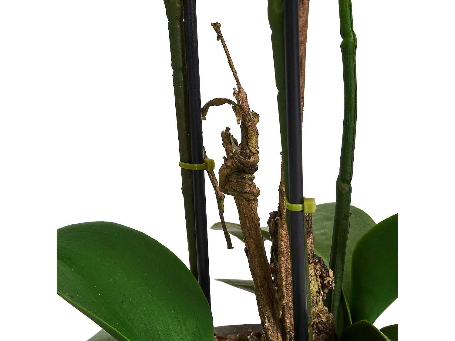 Plante artificielle Orchidée