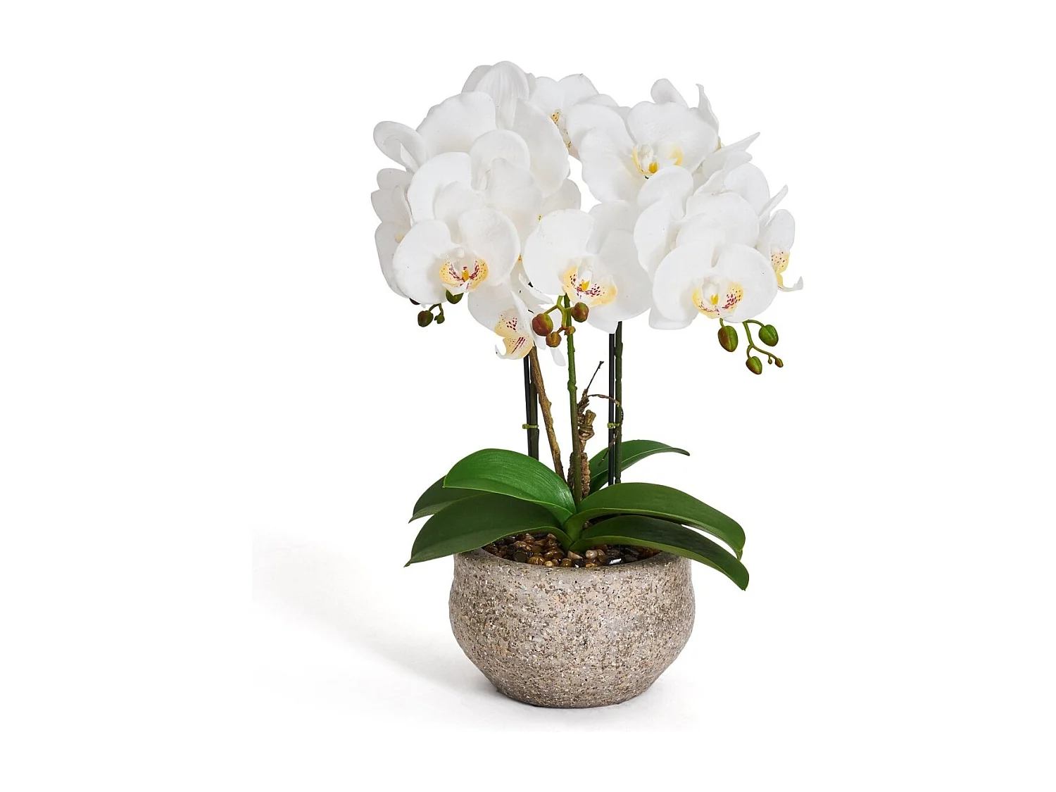 Kunstpflanze mit Topf - H. 42 cm - Orchidee
