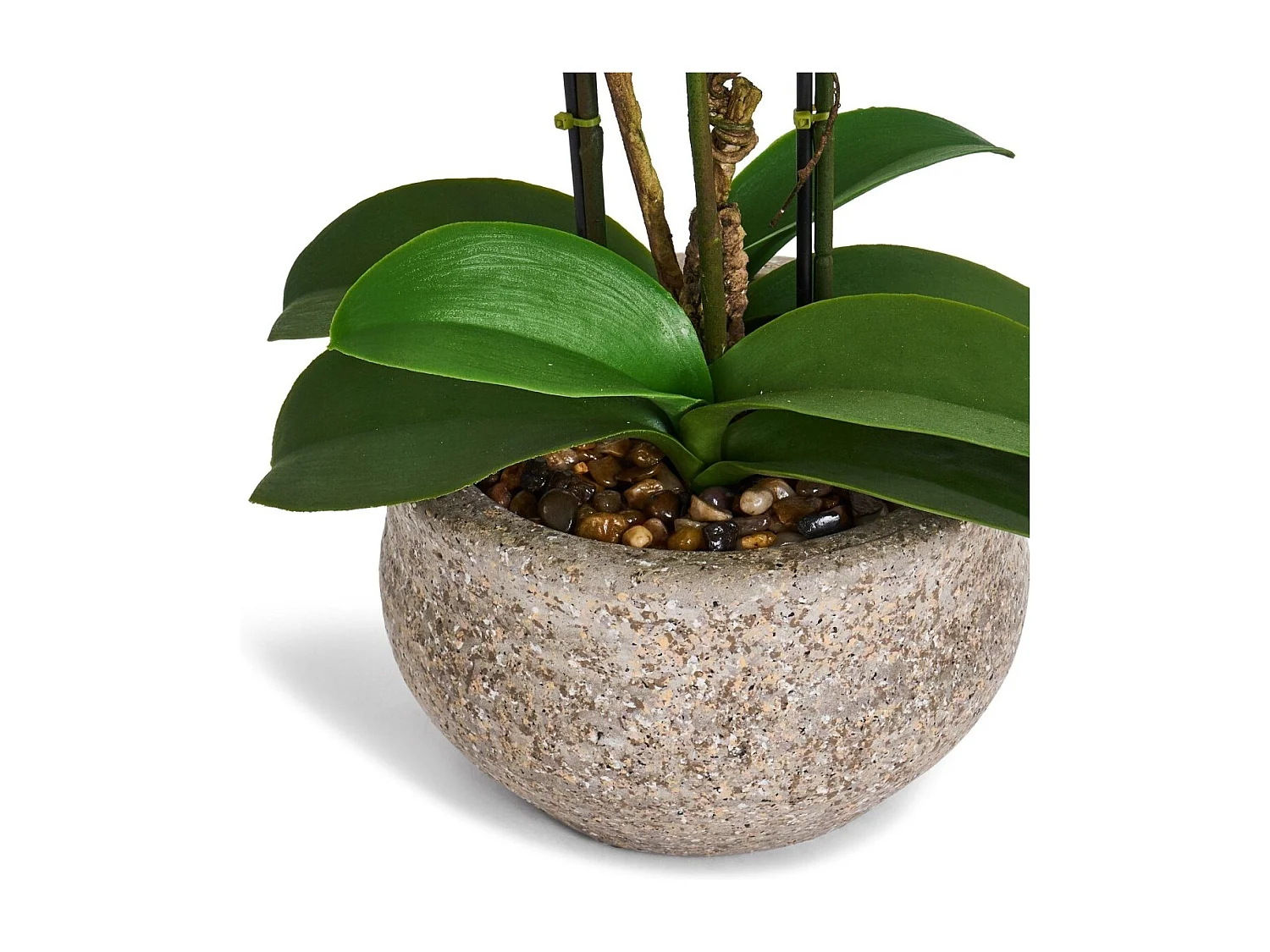 Kunstpflanze mit Topf - H. 42 cm - Orchidee