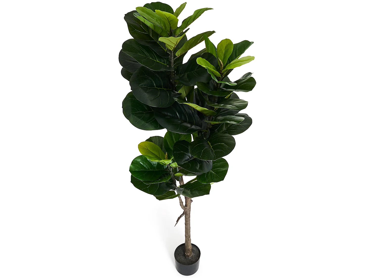 Kunstplant met pot - Vioolblad - H. 150 cm