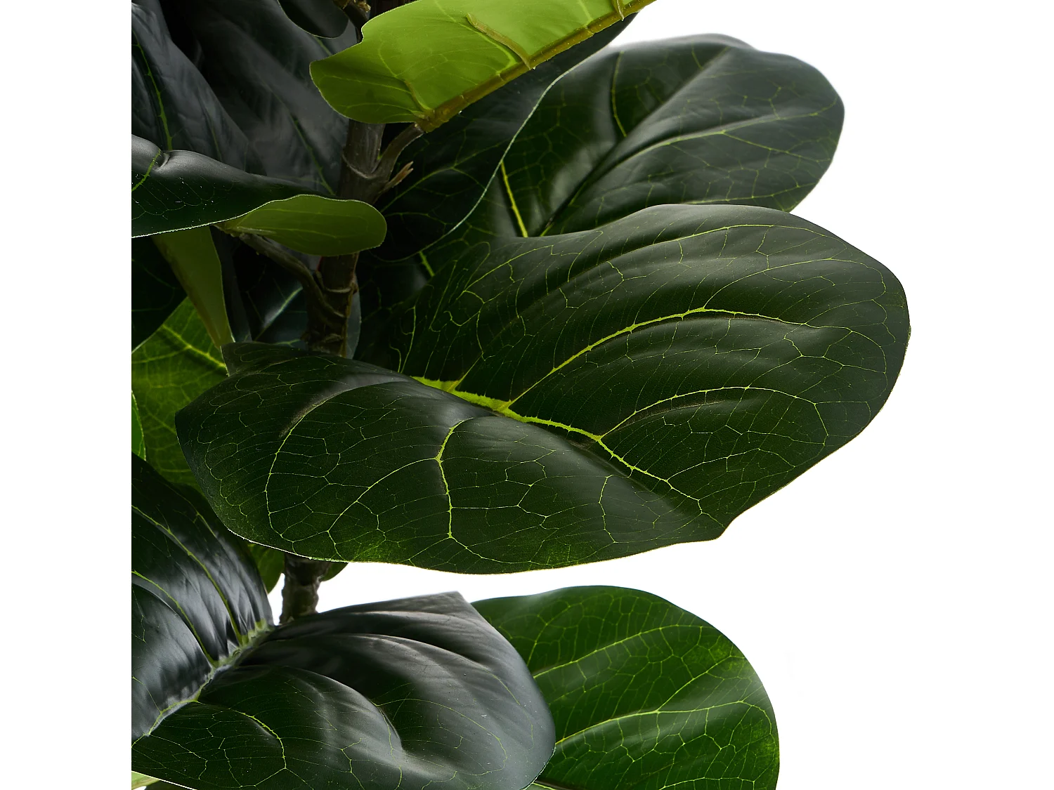 Kunstplant met pot - Vioolblad - H. 150 cm