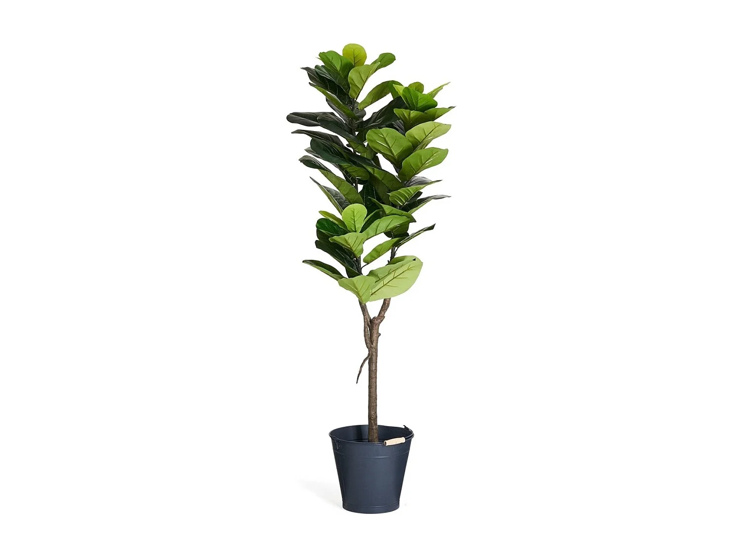 Kunstpflanze mit Topf - H. 155 cm - Ficus