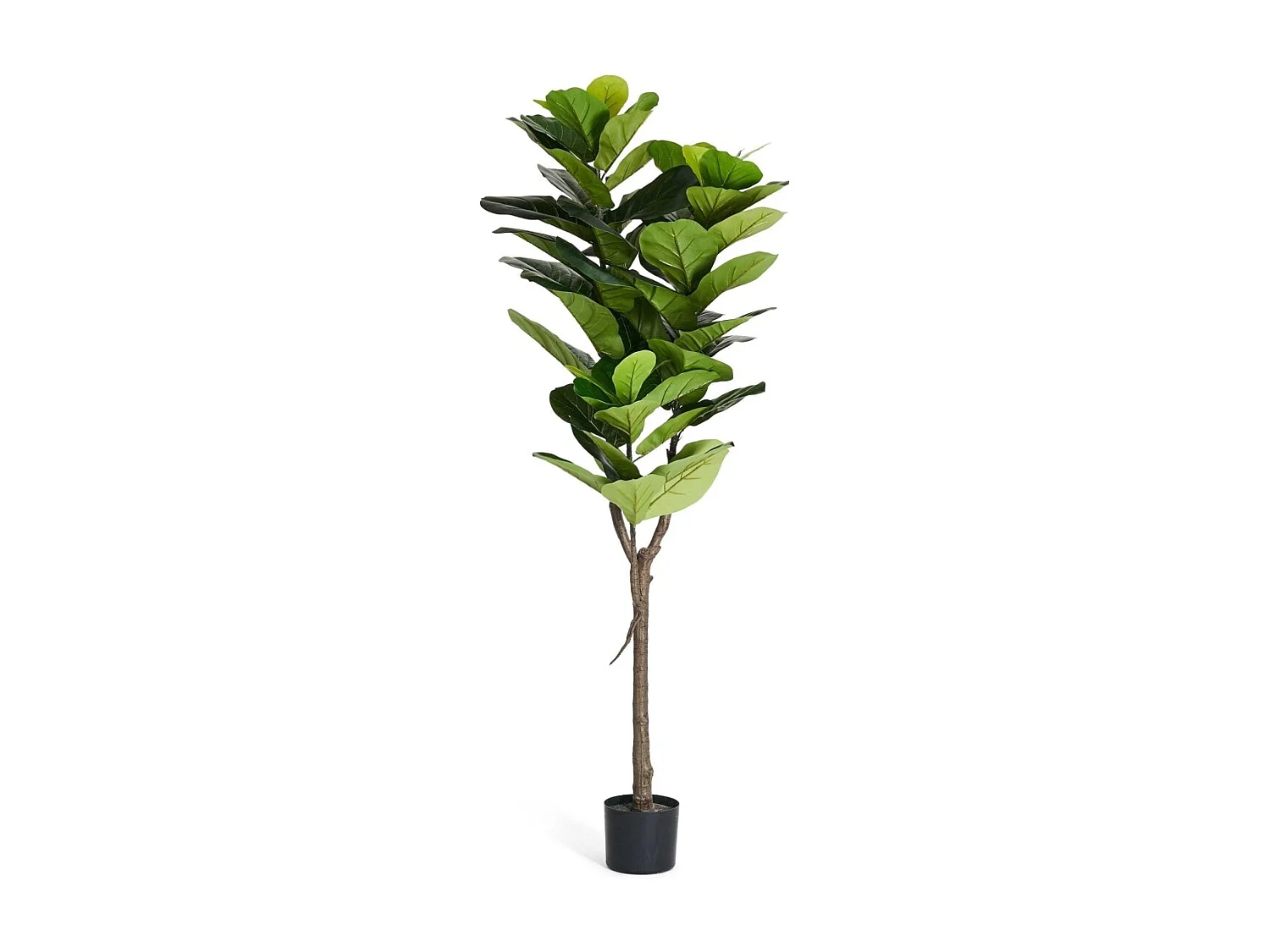 Kunstpflanze mit Topf - H. 155 cm - Ficus