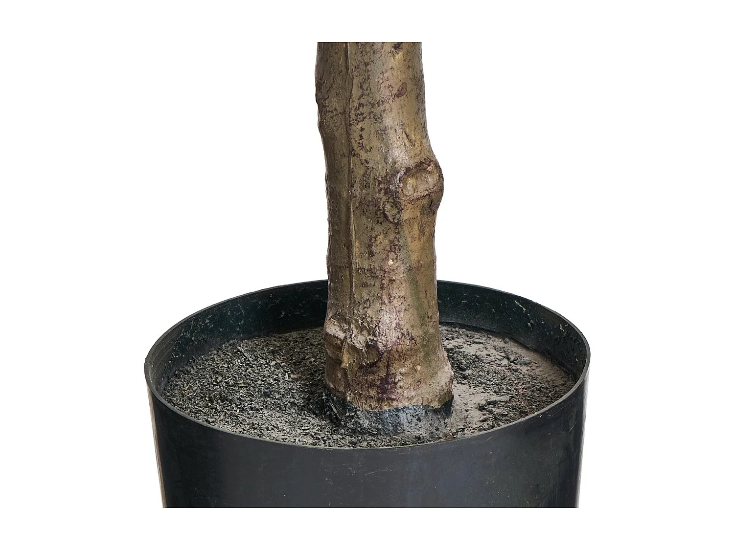 Kunstpflanze mit Topf - H. 155 cm - Ficus