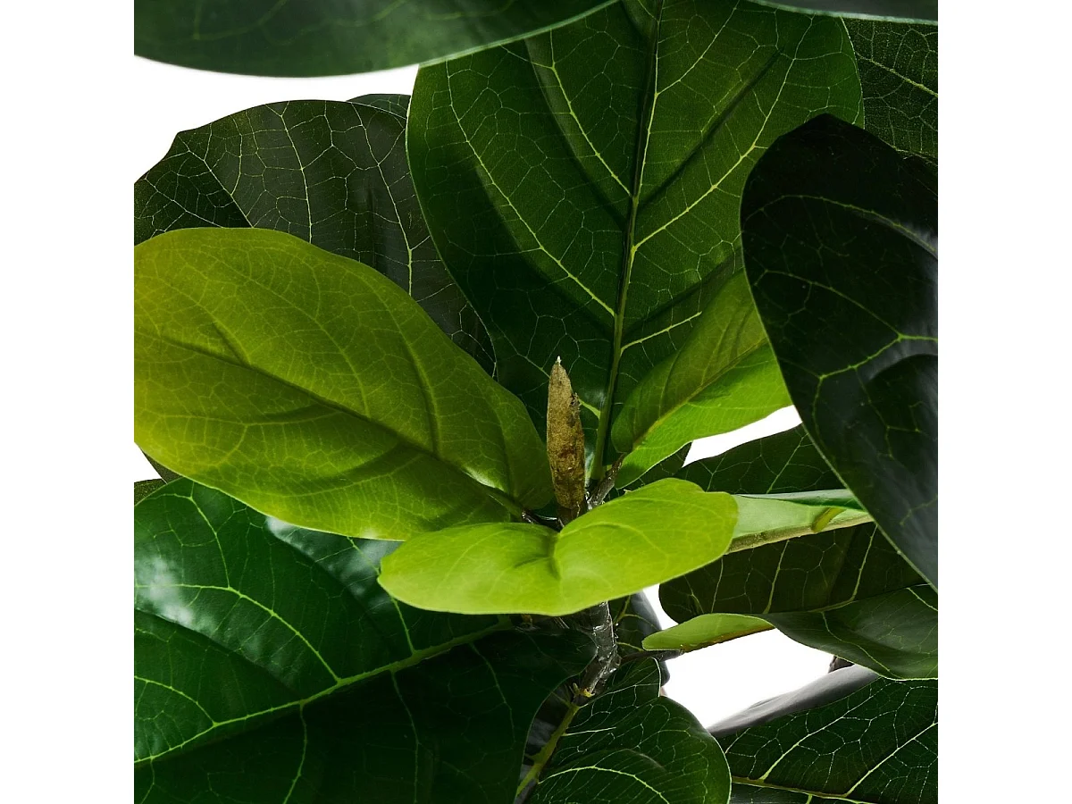 Kunstpflanze mit Topf - H. 155 cm - Ficus