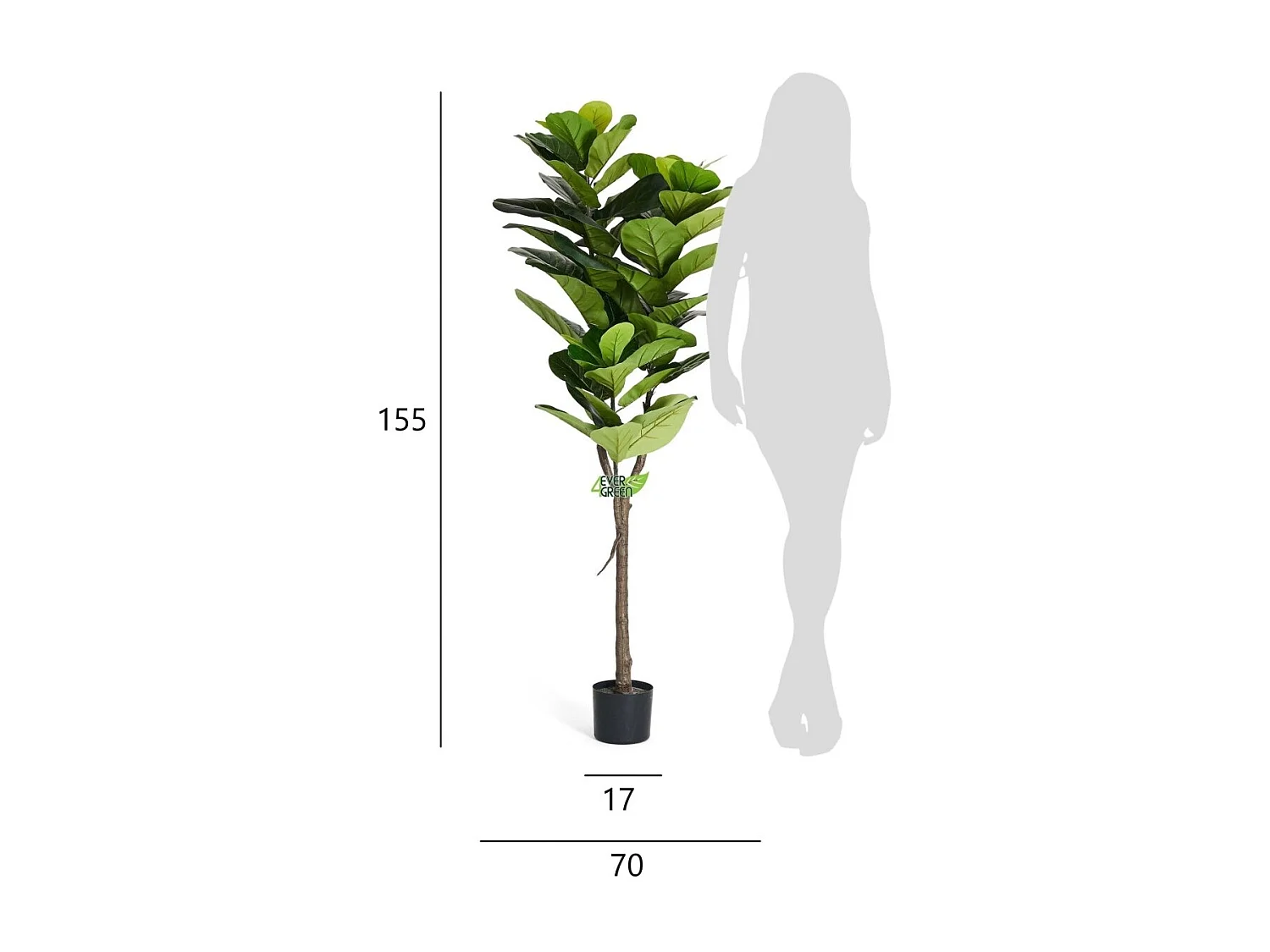Kunstpflanze mit Topf - H. 155 cm - Ficus