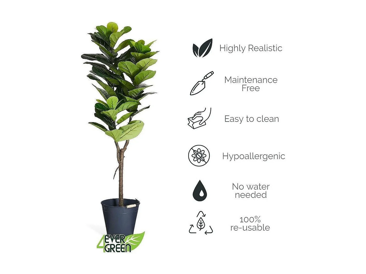 Kunstpflanze mit Topf - H. 155 cm - Ficus