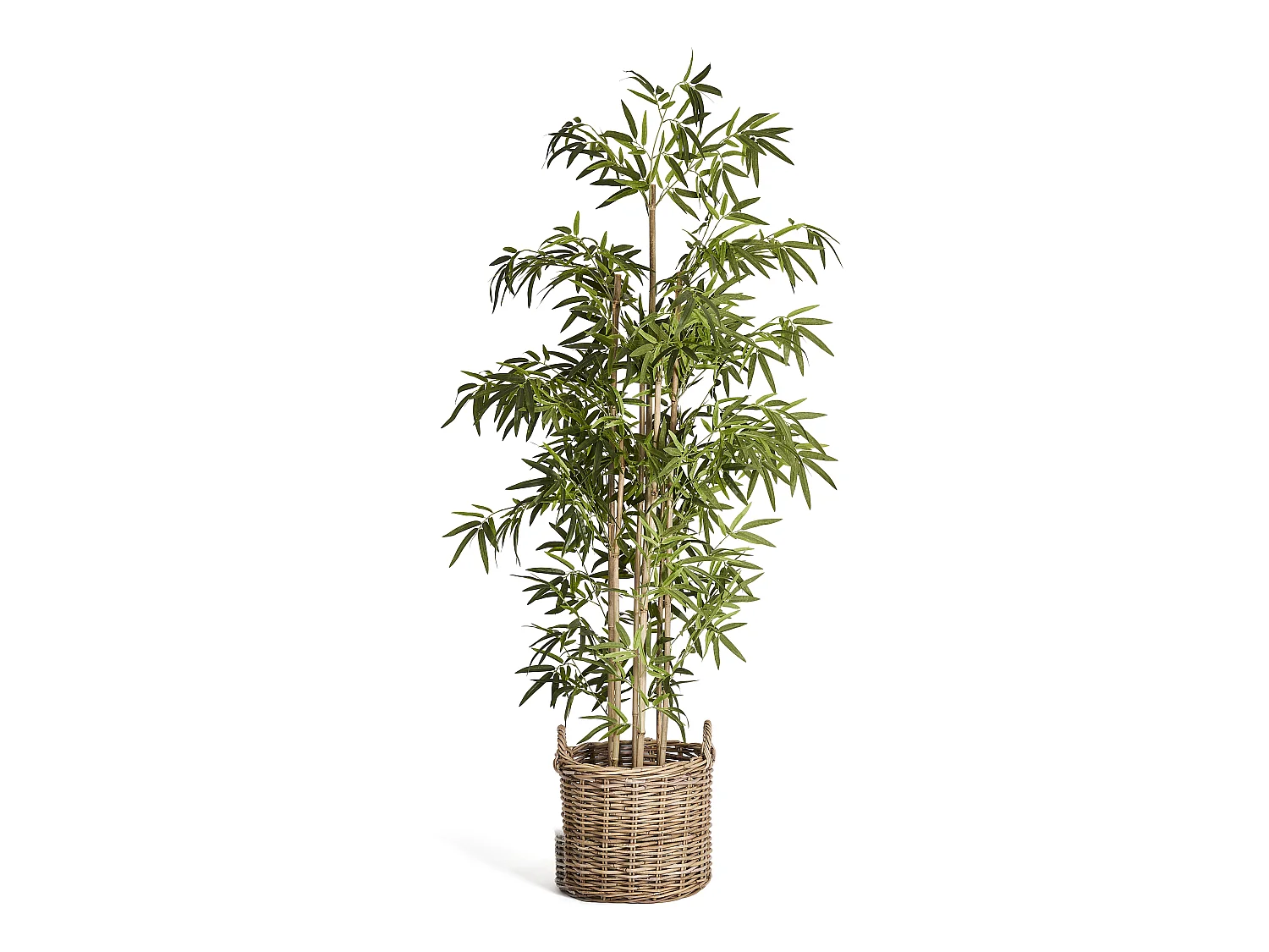 Kunstpflanze mit Topf - H. 190 cm - Bambus