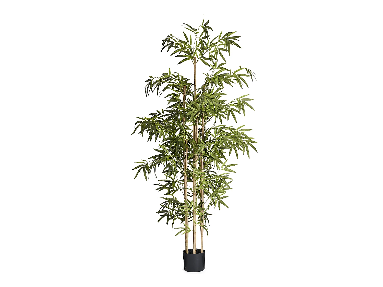 Kunstpflanze mit Topf - H. 190 cm - Bambus