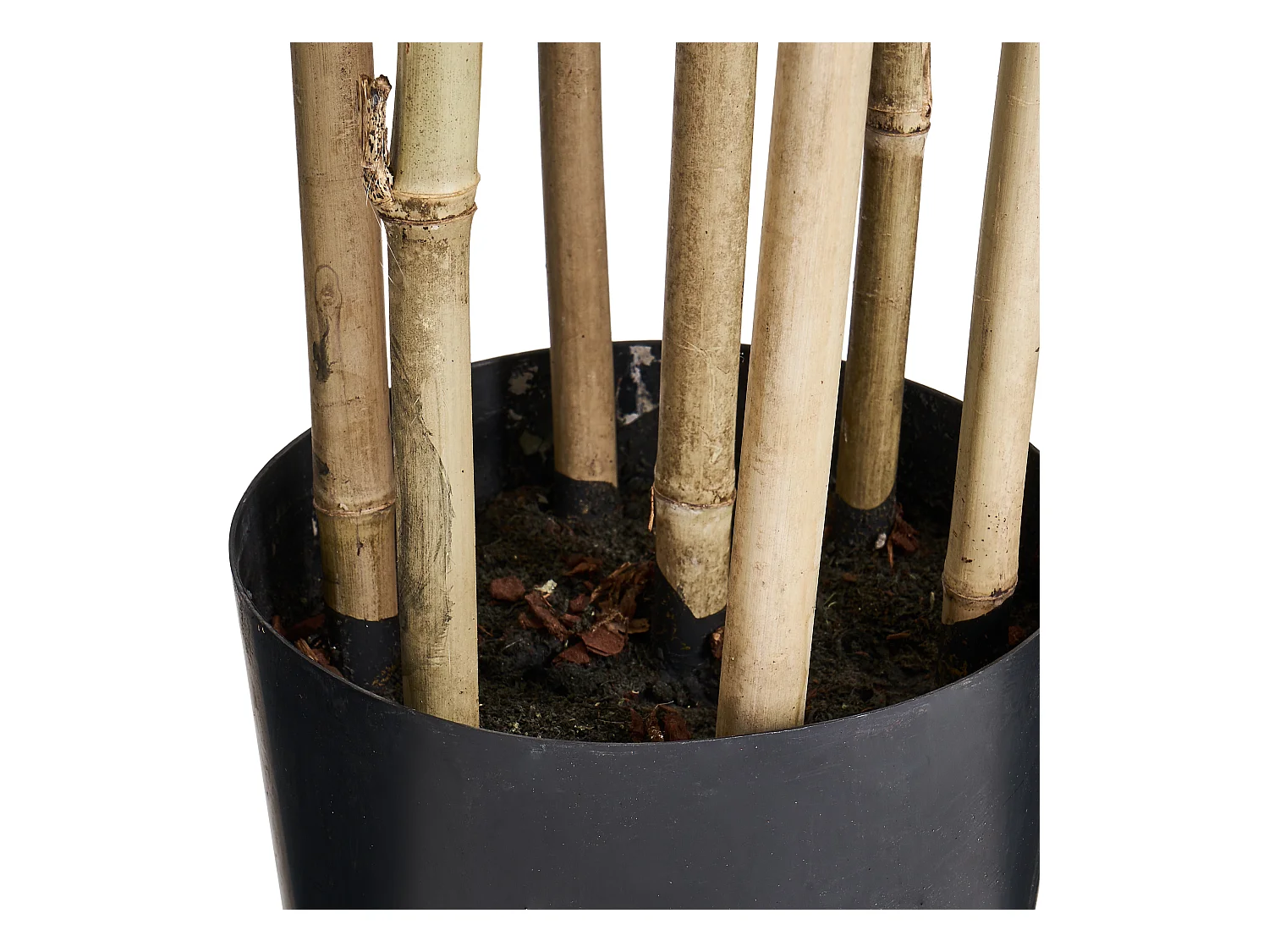 Kunstpflanze mit Topf - H. 190 cm - Bambus