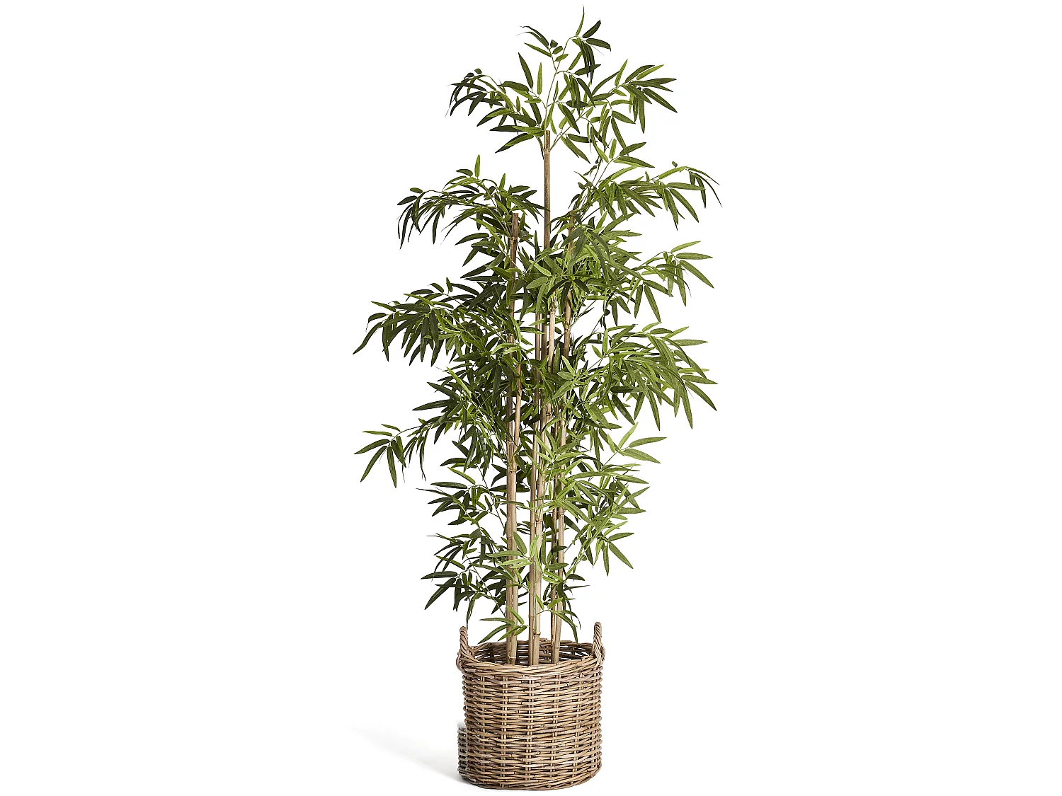 Kunstpflanze mit Topf - H. 190 cm - Bambus