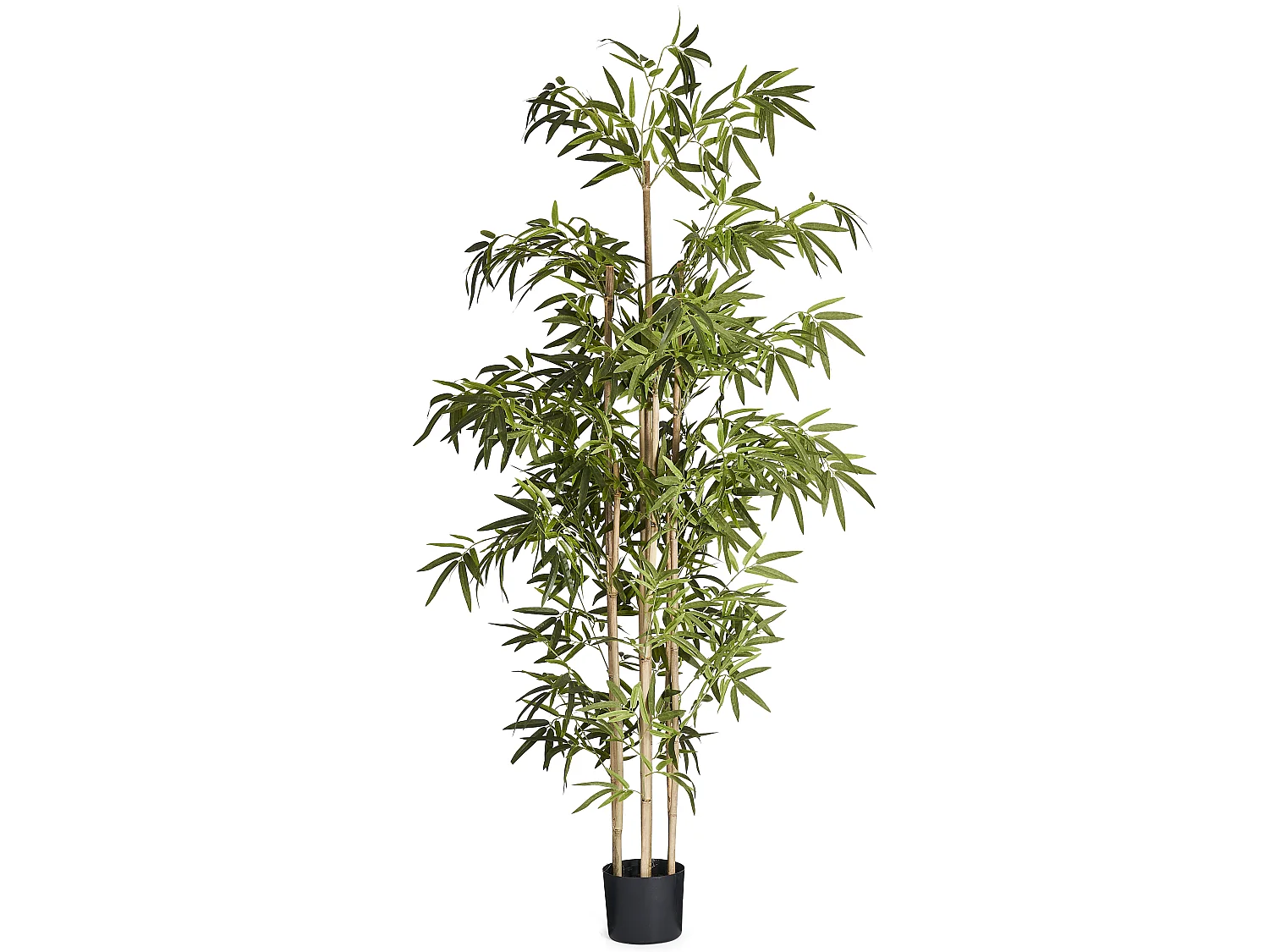 Kunstpflanze mit Topf - H. 190 cm - Bambus