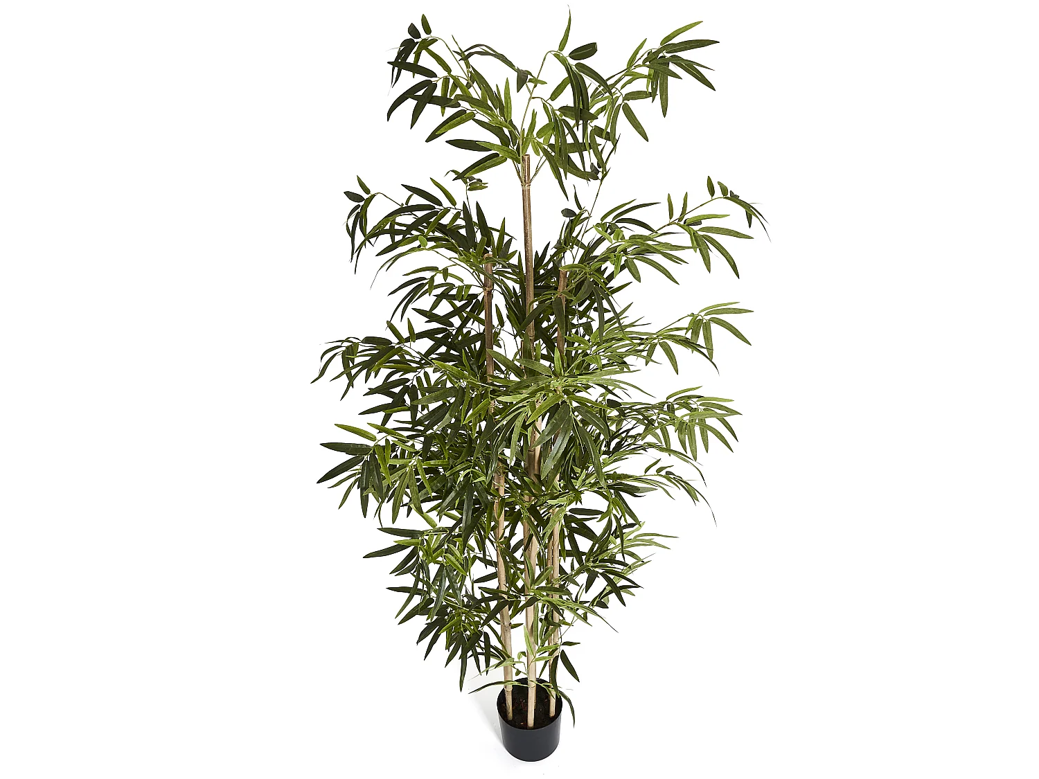 Kunstpflanze mit Topf - H. 190 cm - Bambus