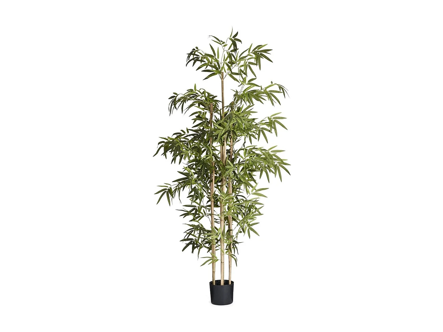 Planta artificiale con vaso - Bambù - H. 190 cm