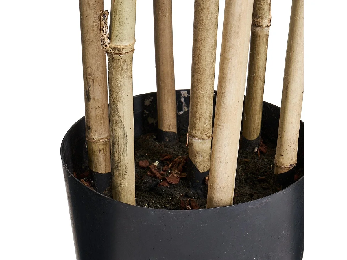 Planta artificiale con vaso - Bambù - H. 190 cm