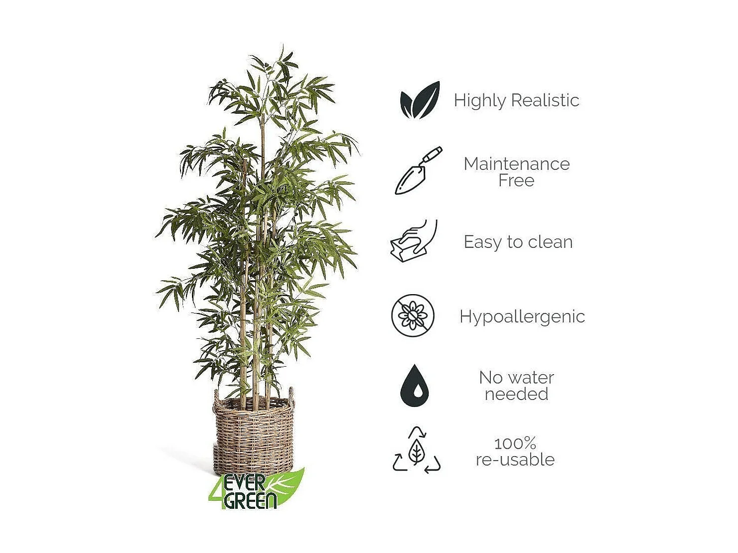 Planta artificiale con vaso - Bambù - H. 190 cm